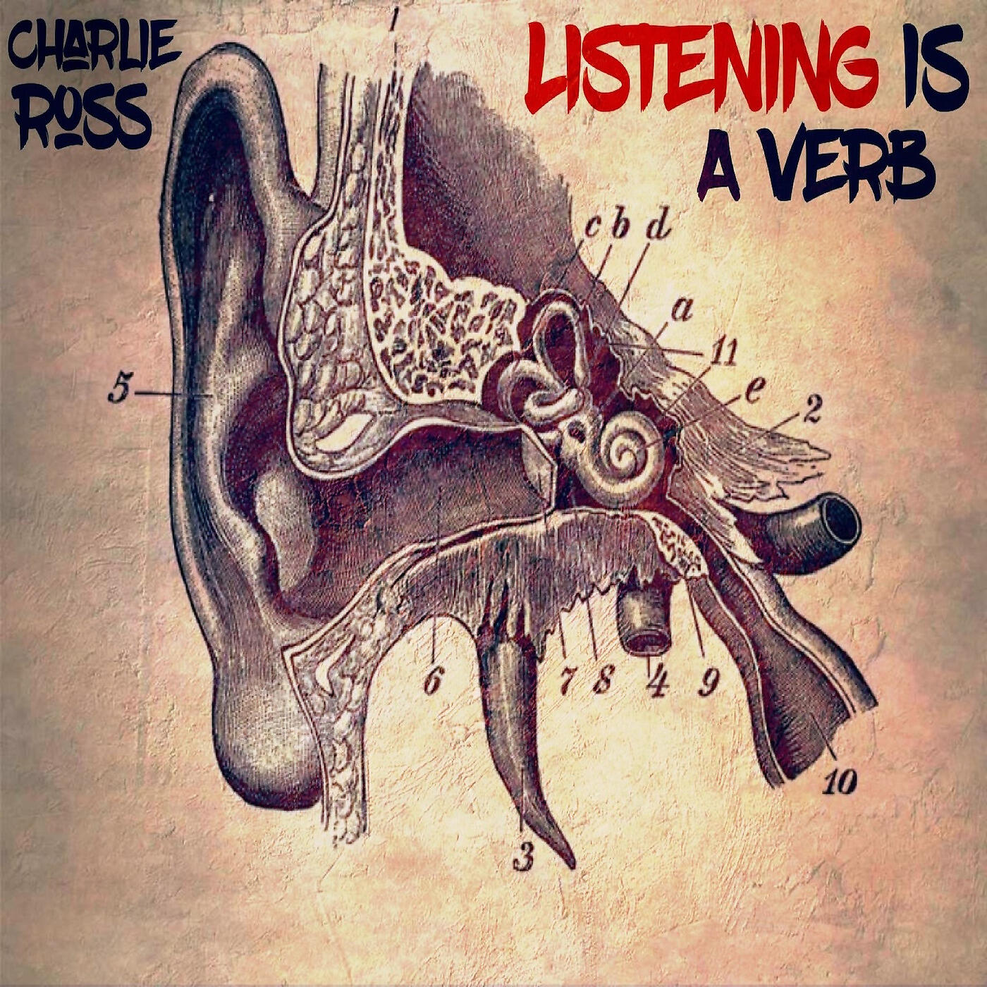 Charlie Ross - In Your Way