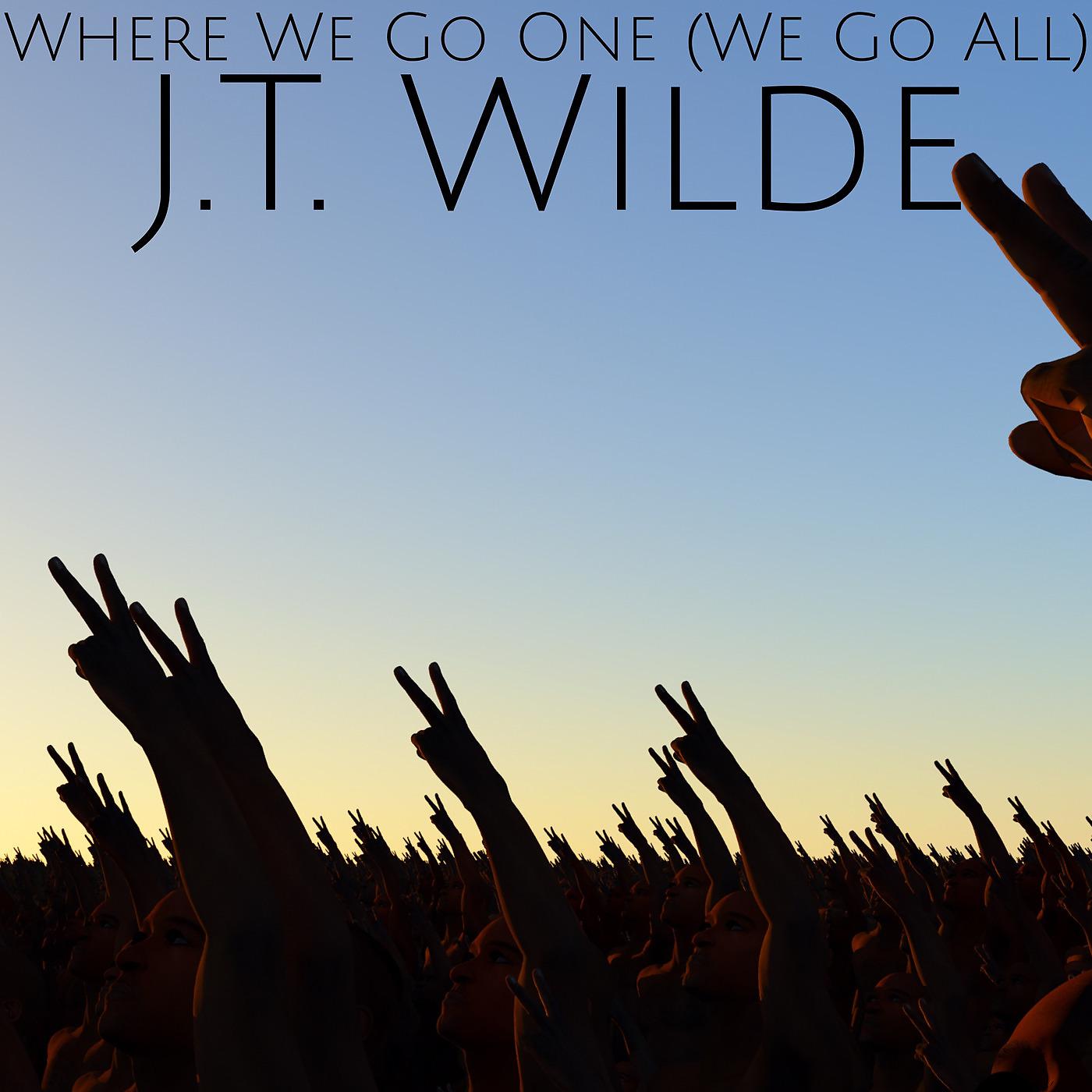 Постер альбома Where We Go One (We Go All)