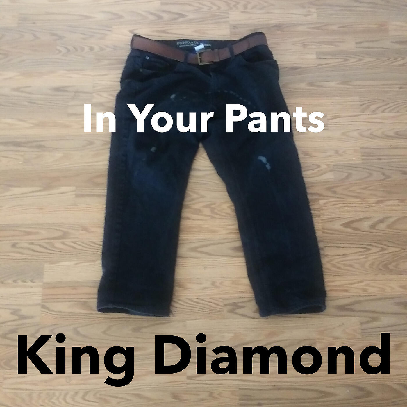 King Diamond - In Your Pants