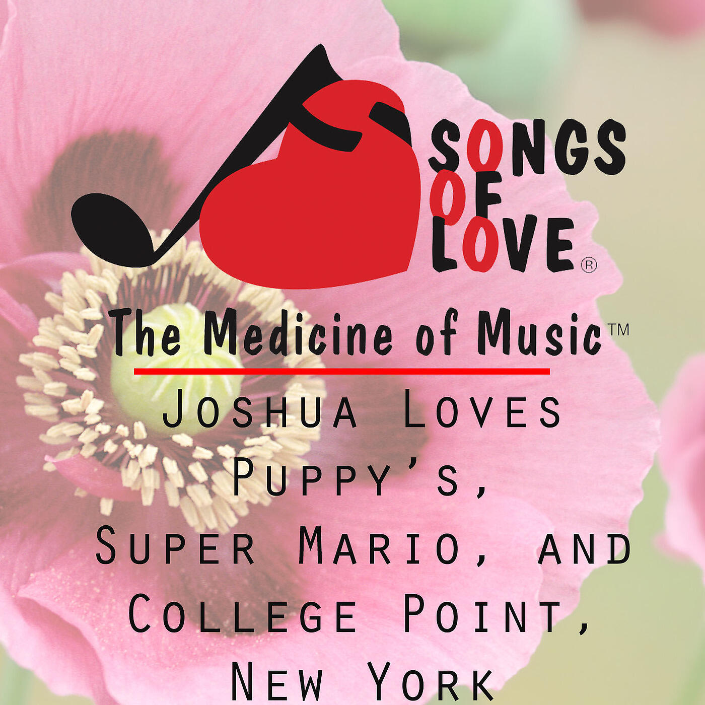 T. Jones - Joshua Loves Puppy’s, Super Mario, and College Point, New York