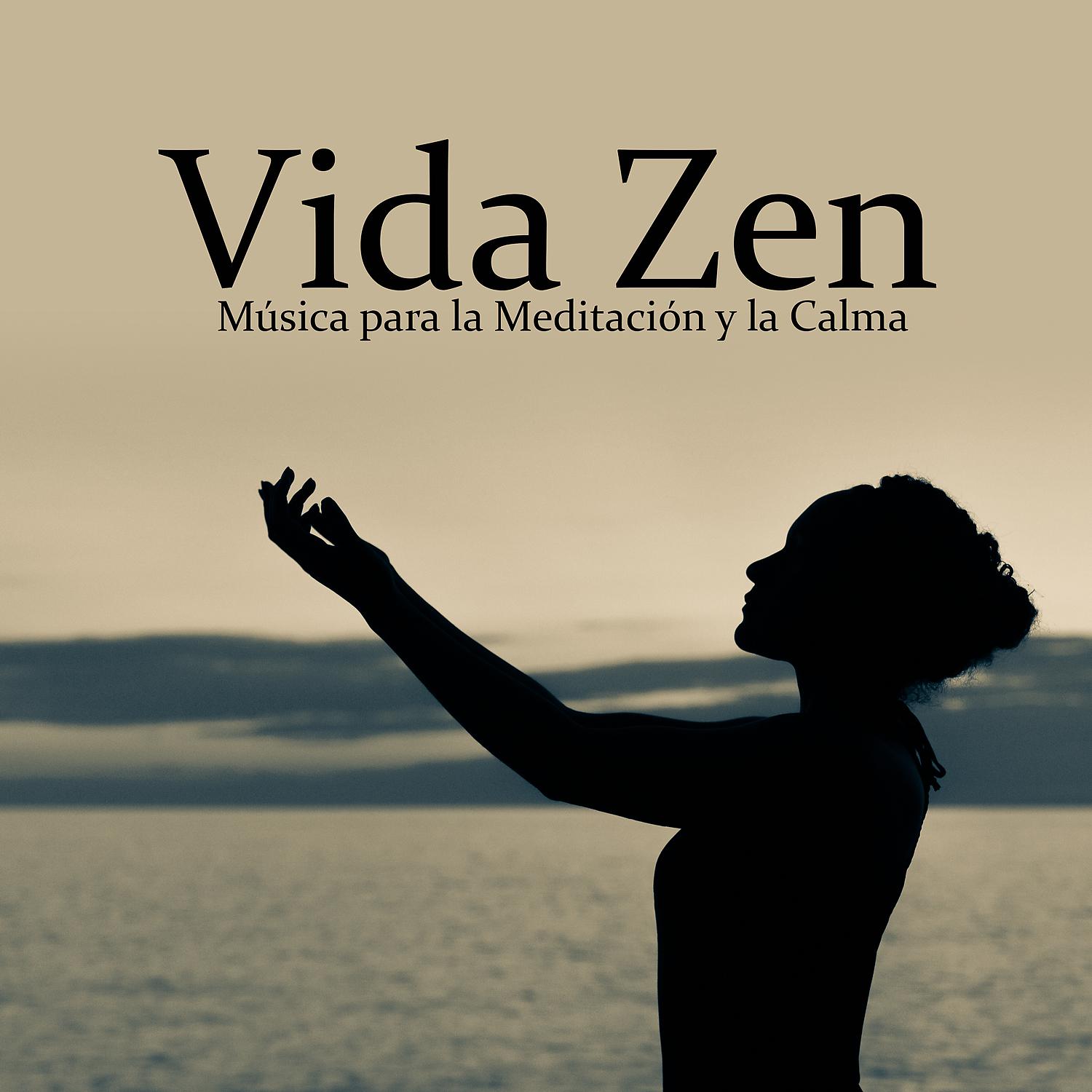 Постер альбома Vida Zen: Música para la Meditacion y la Calma, Mejor Energia y Equilibrio