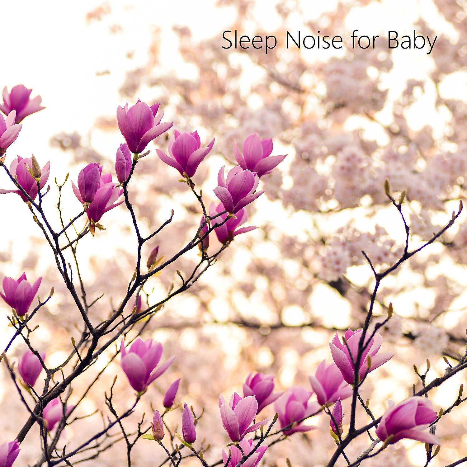 Dream Noise - Calming Ocean Noise Loopable