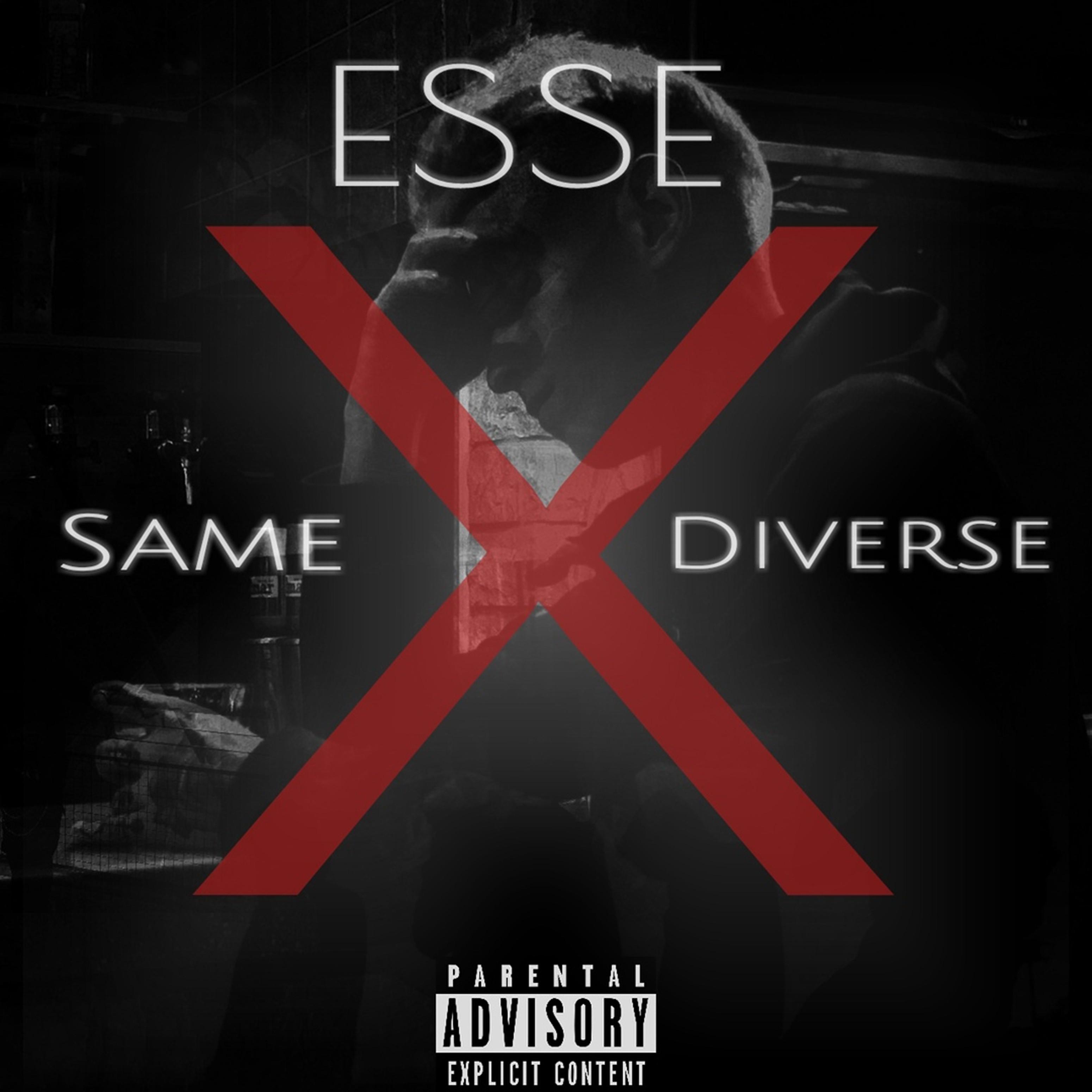 Постер альбома Same and Diverse