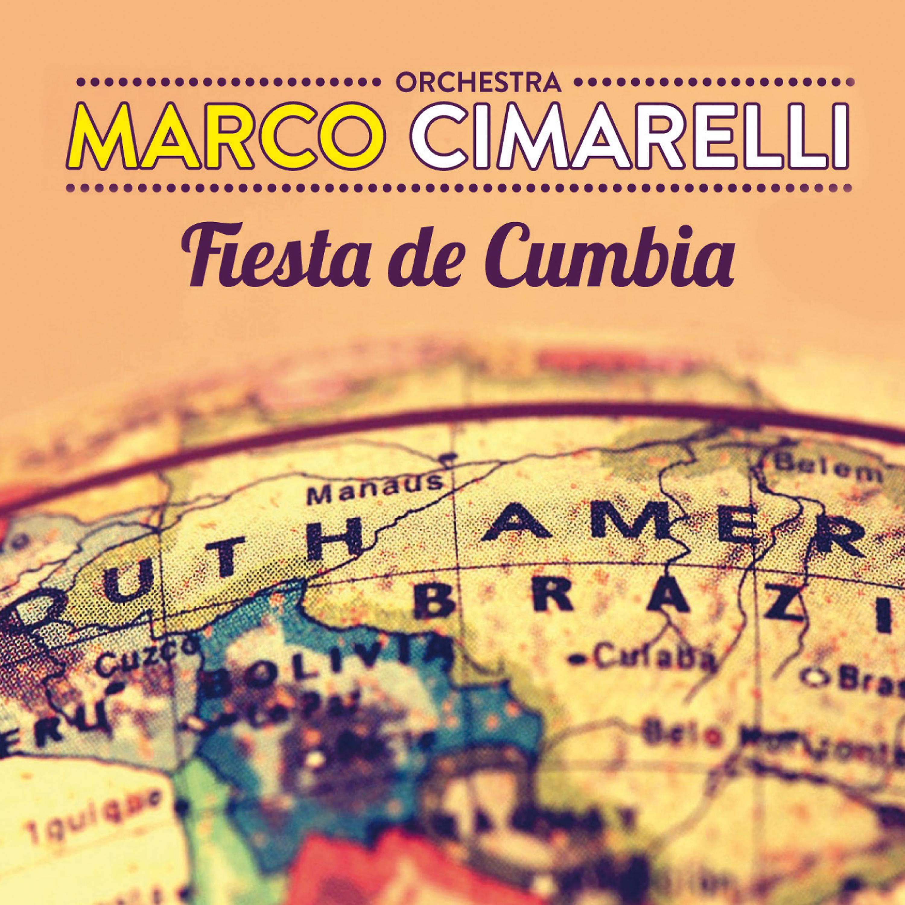 Постер альбома Fiesta de cumbia