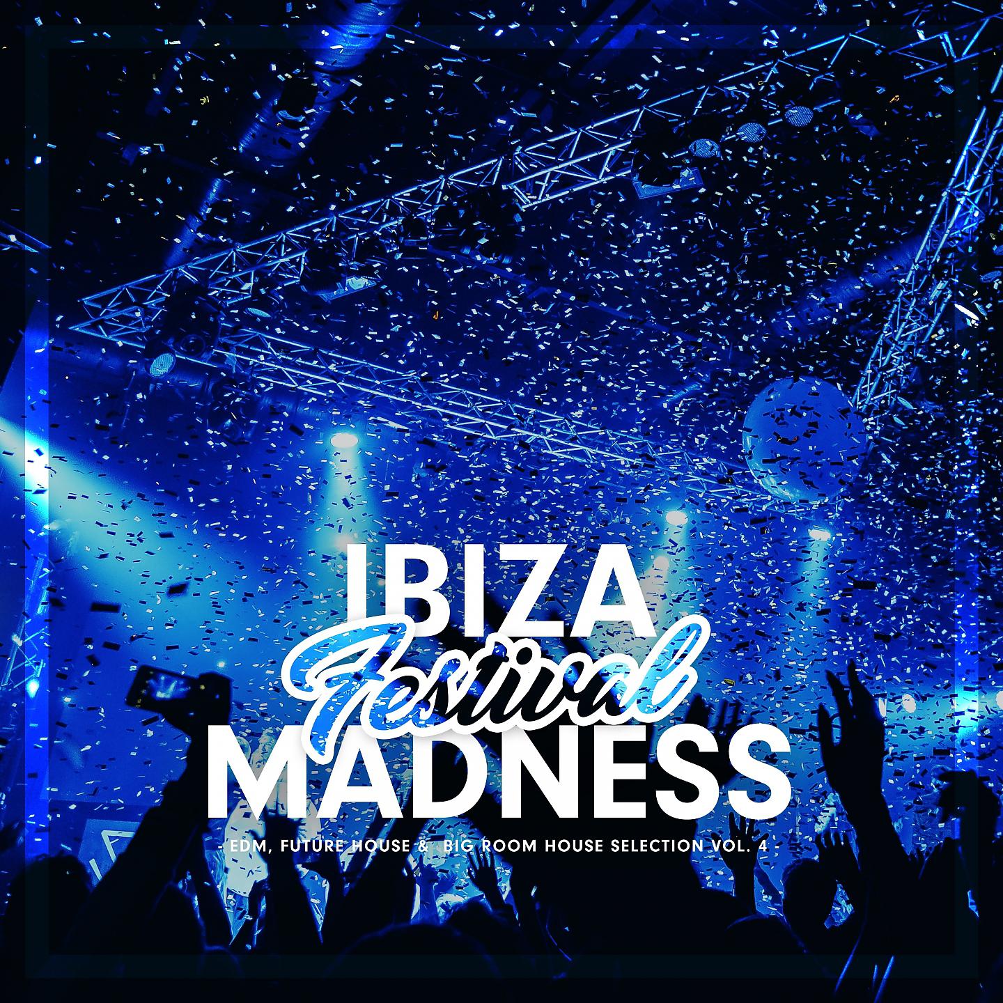 Постер альбома Ibiza Festival Madness, Vol. 4