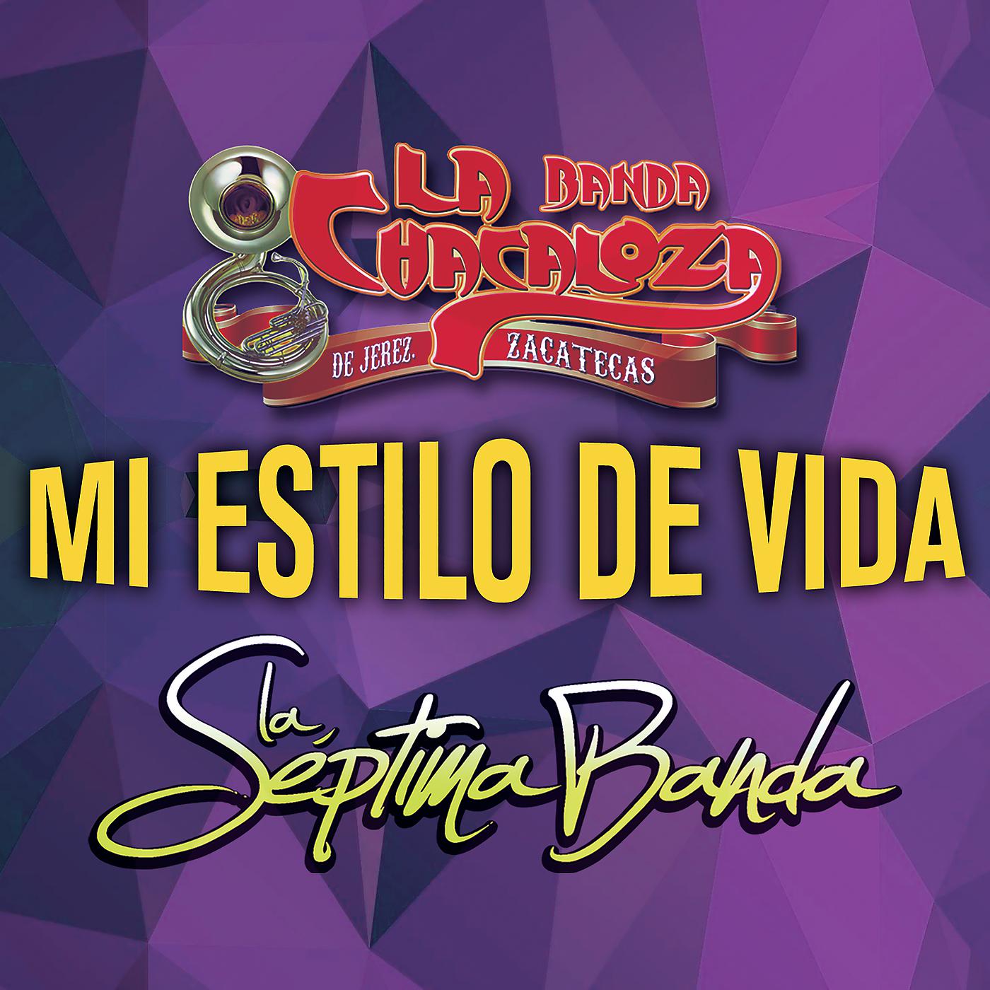 Постер альбома Mi Estilo De Vida