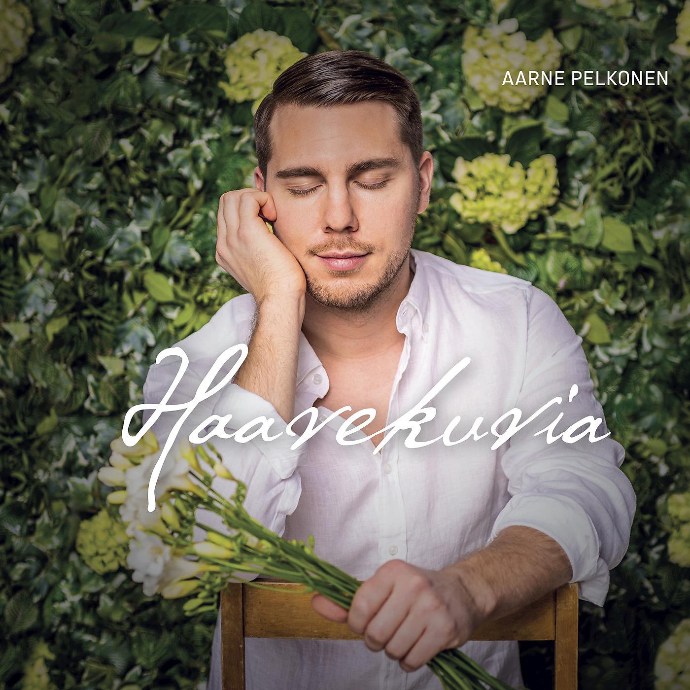 Постер альбома Haavekuvia