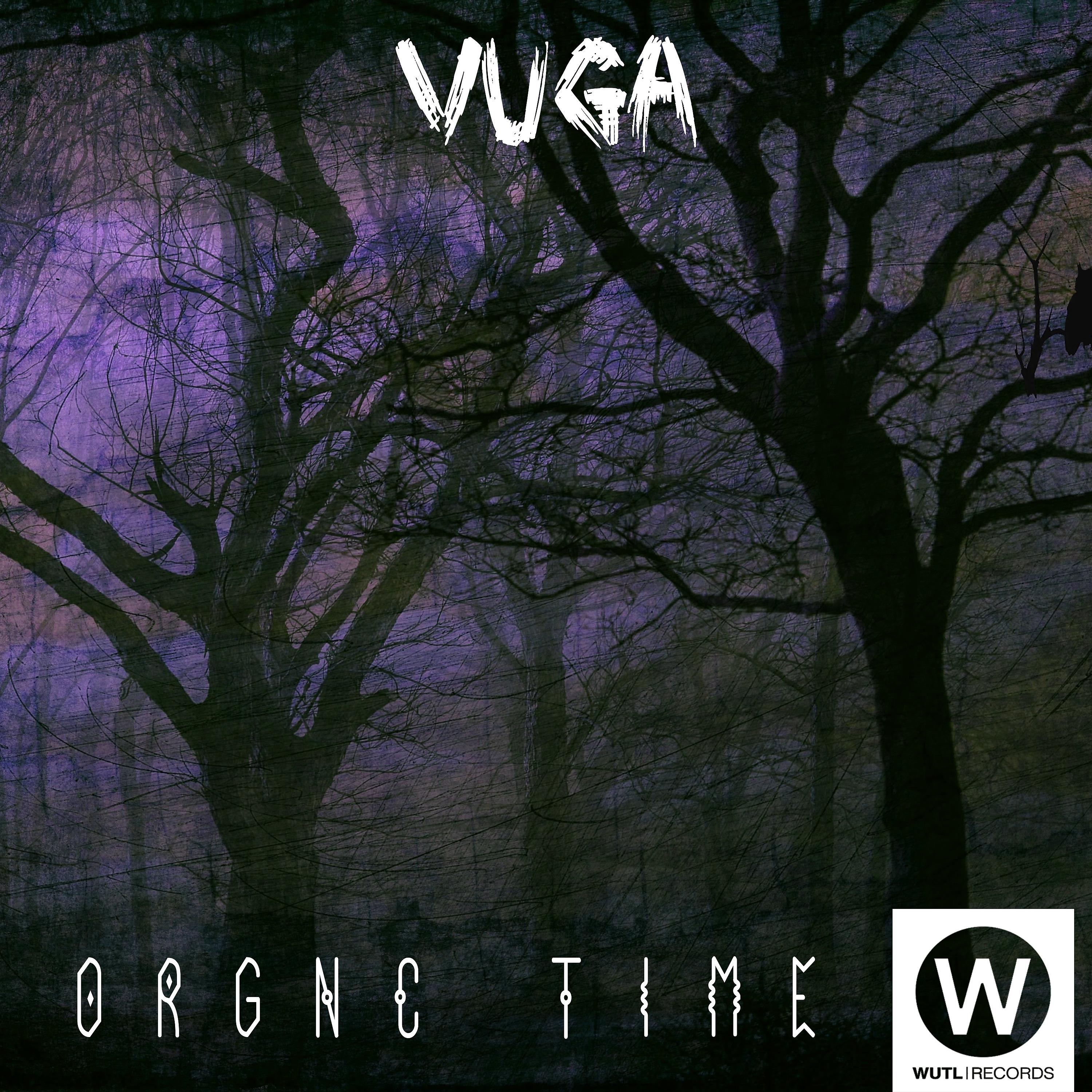 Постер альбома Orgnc Time