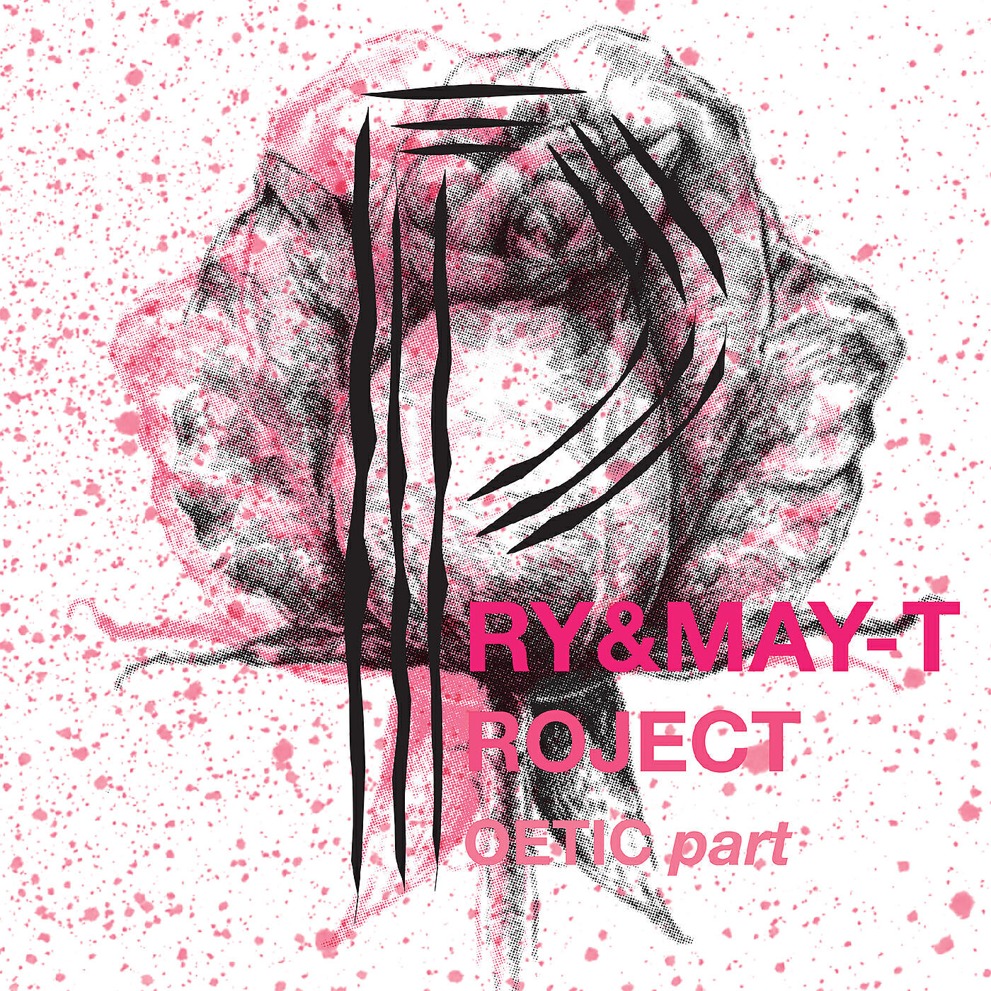 Pry & May-T Project - PLENG PRY