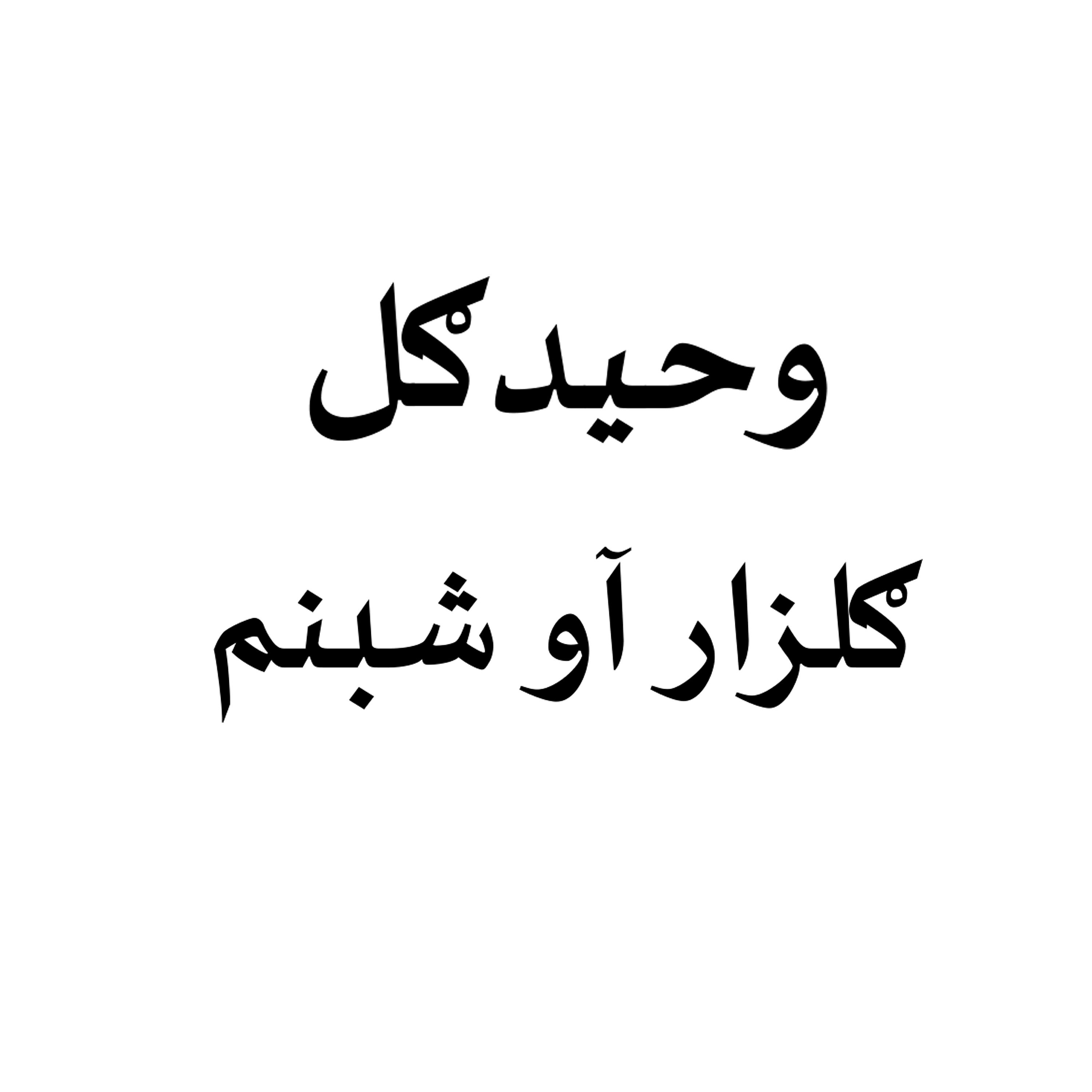 Waheed Gul - Qessa Gulzar Aow Shabnum, Pt. 2