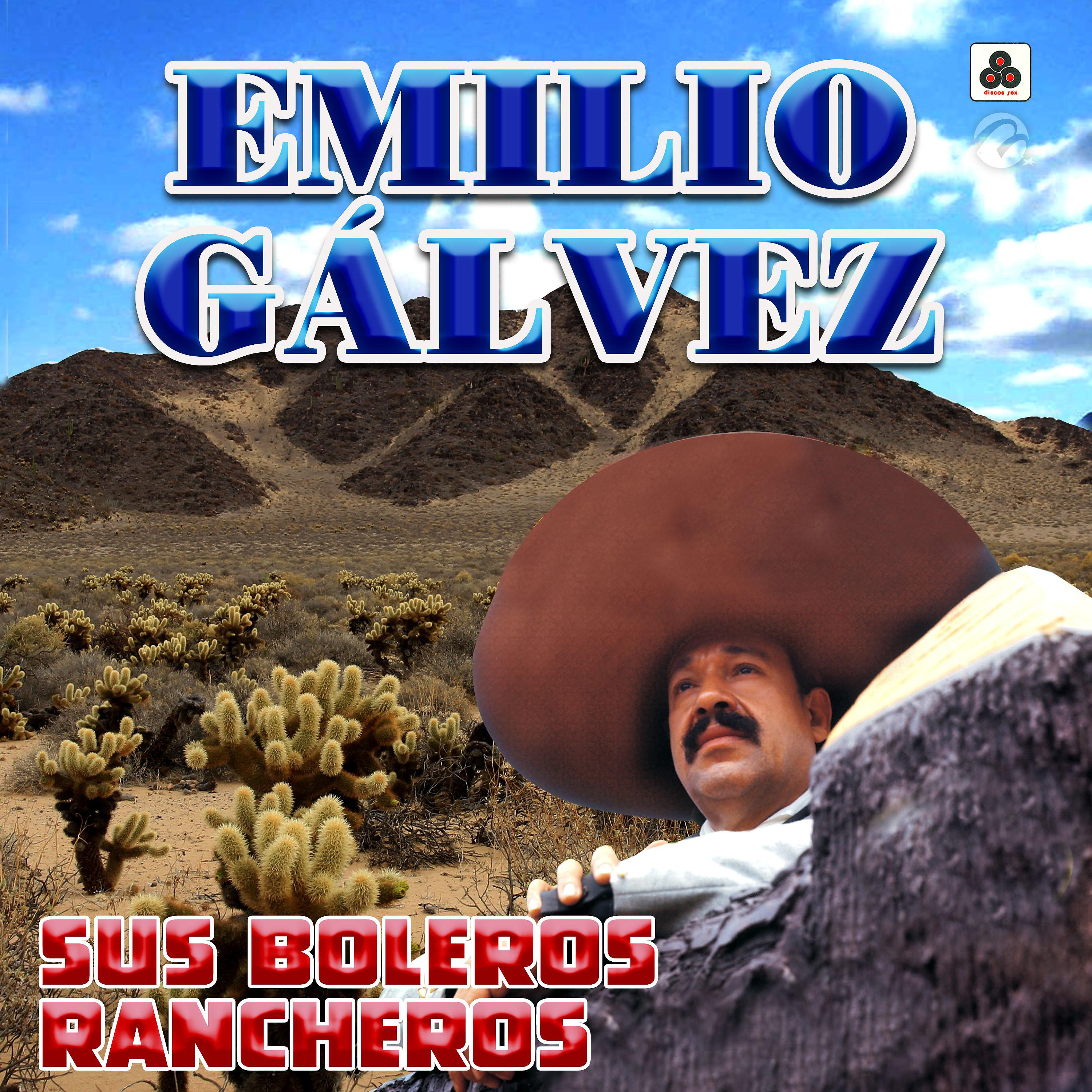 Постер альбома Sus Boleros Rancheros
