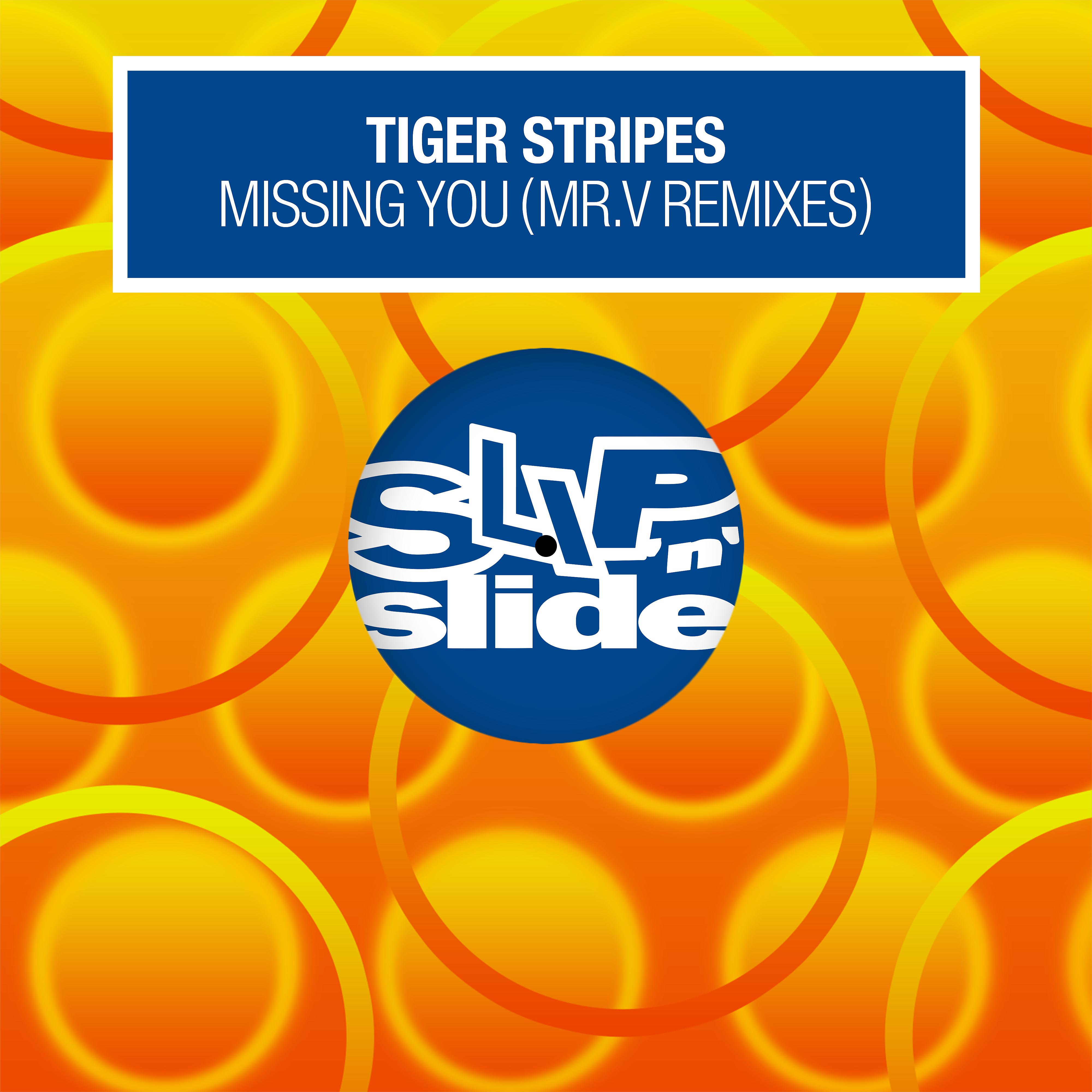 Постер альбома Missing You (Mr. V Remixes)