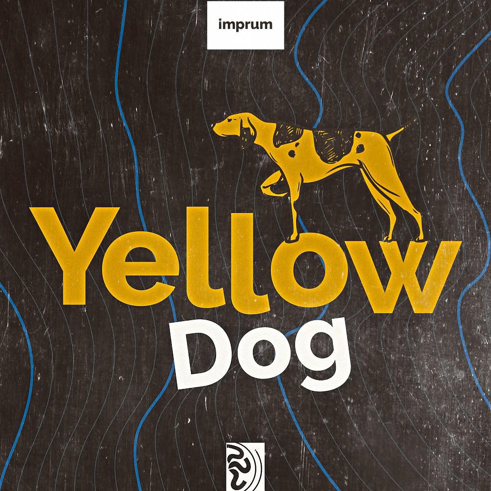 Постер альбома Yellow Dog