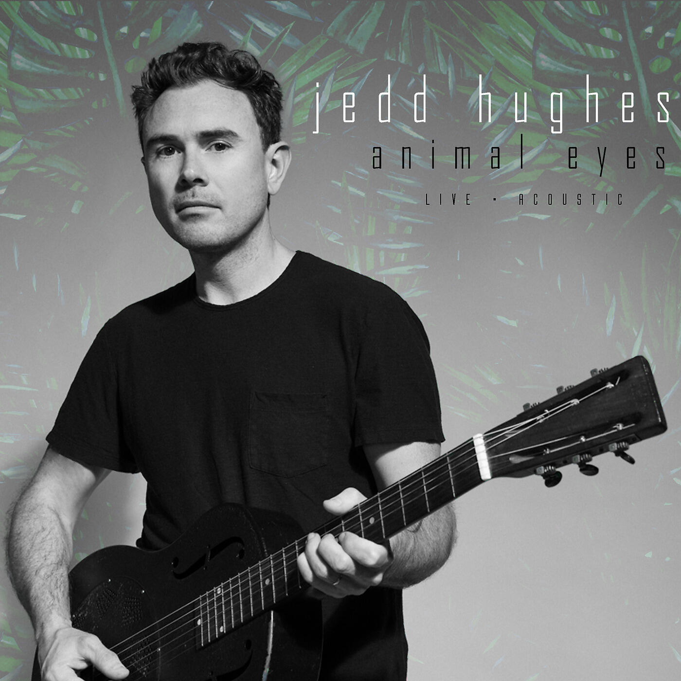 Jedd Hughes - Animal Eyes (Live Acoustic)