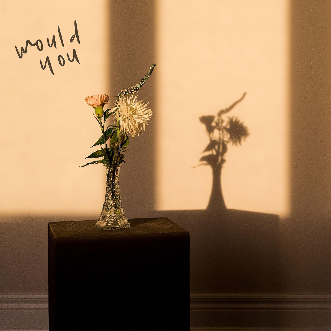 IVAN - Would You