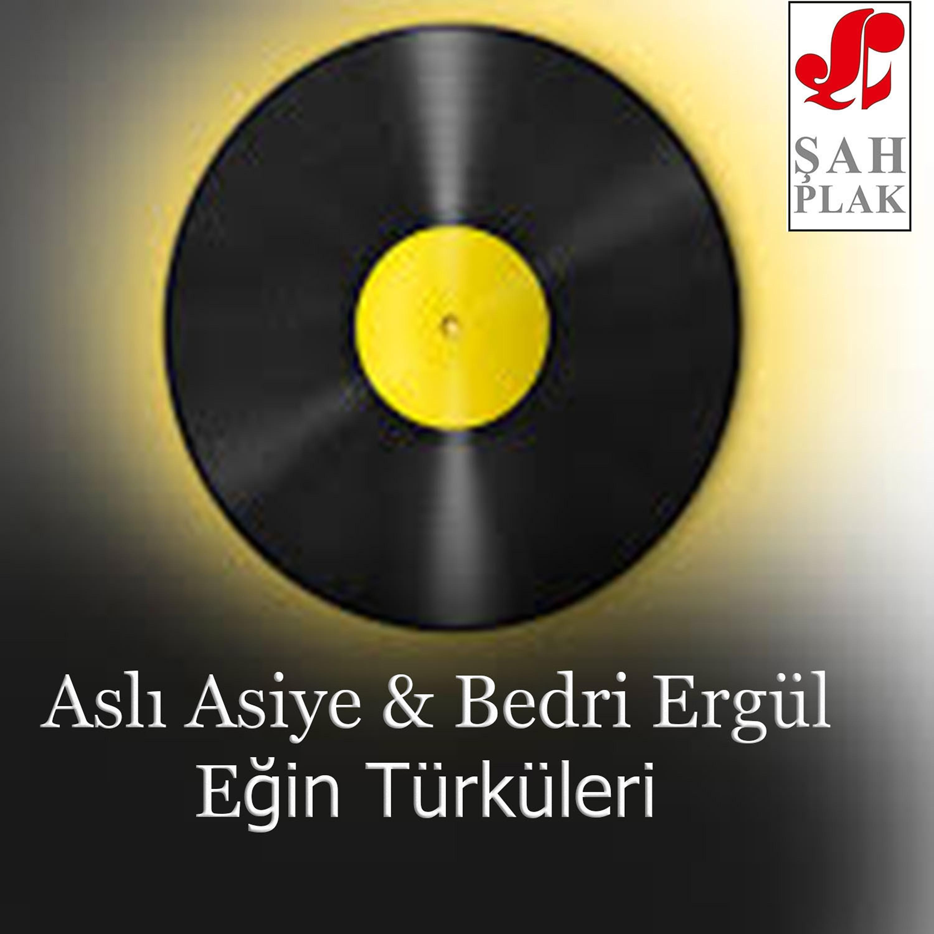Постер альбома Eğin Türküleri