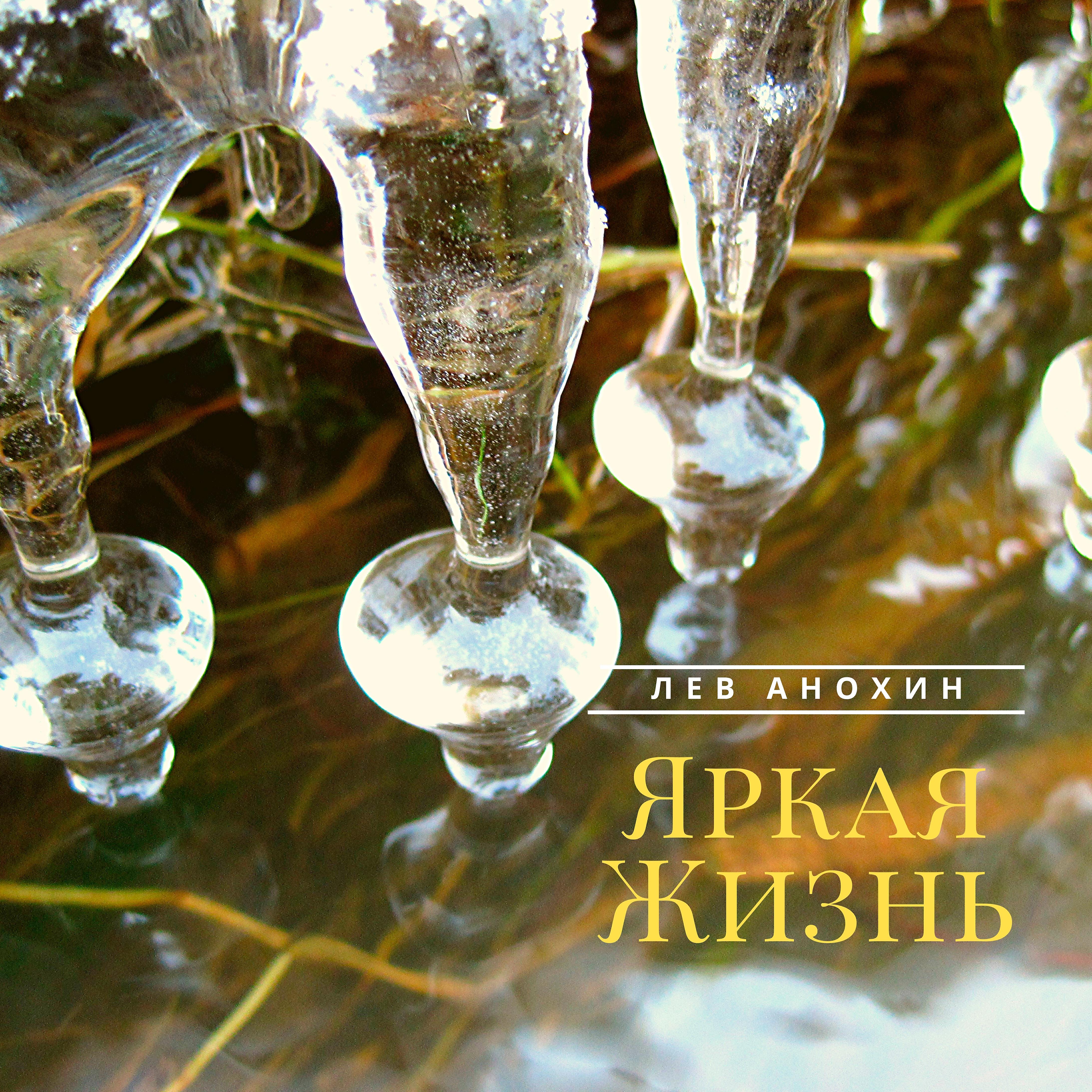 Лев Анохин - В рассветных лучах