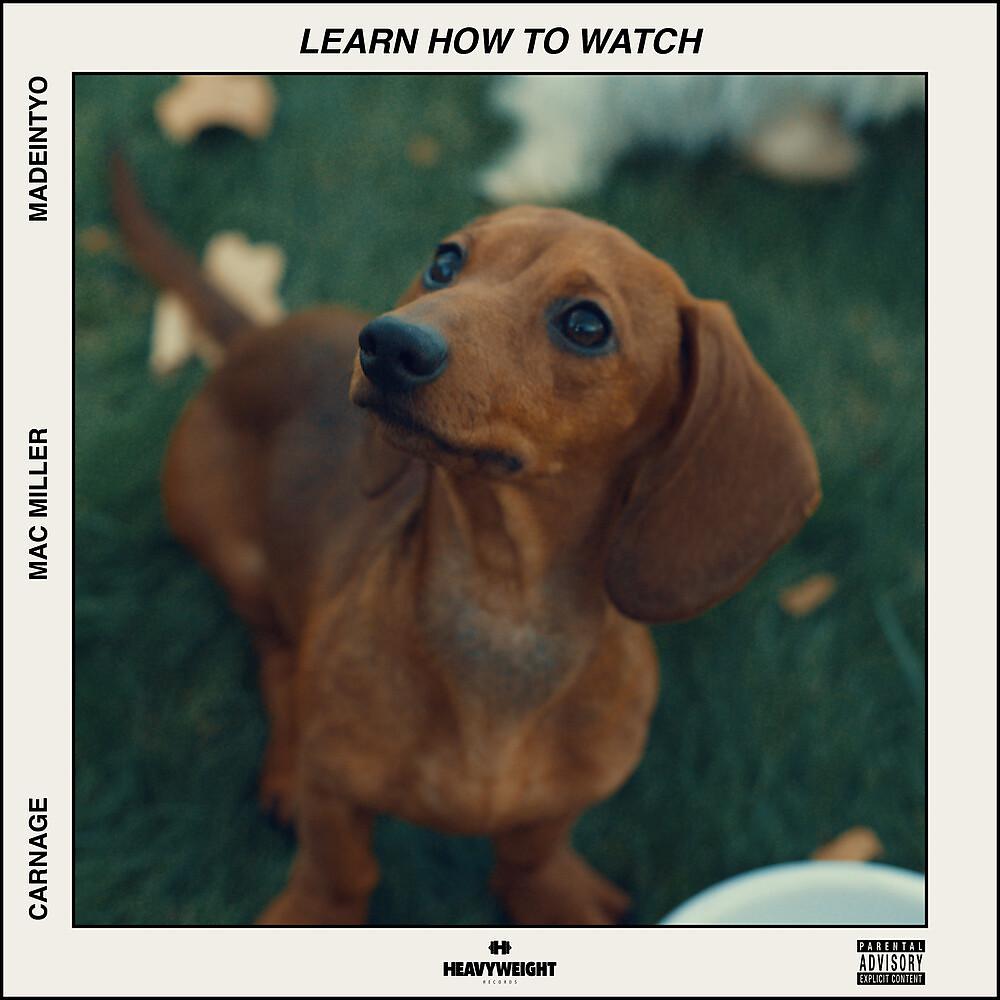 Постер альбома Learn How to Watch