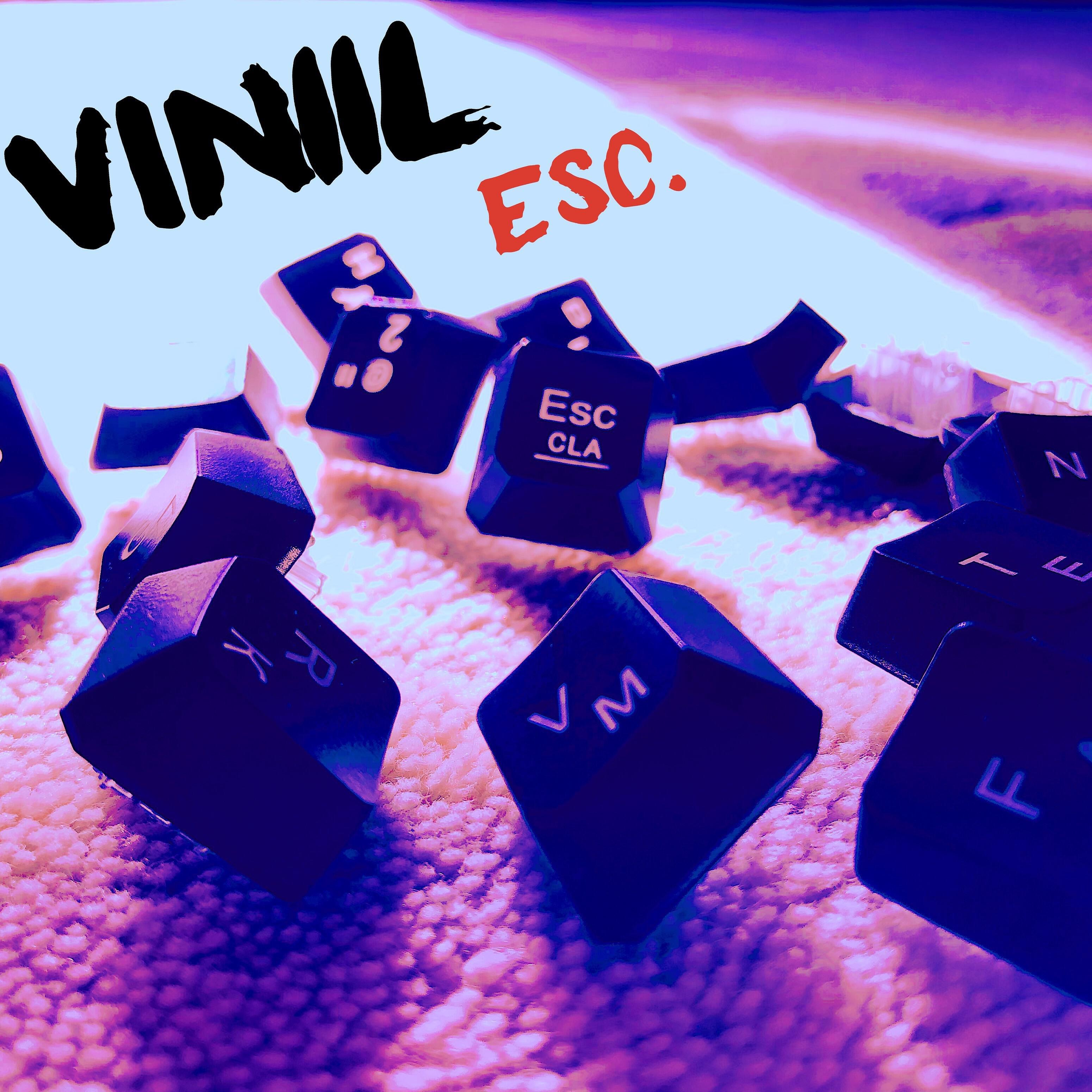 VINiiL - Vostok