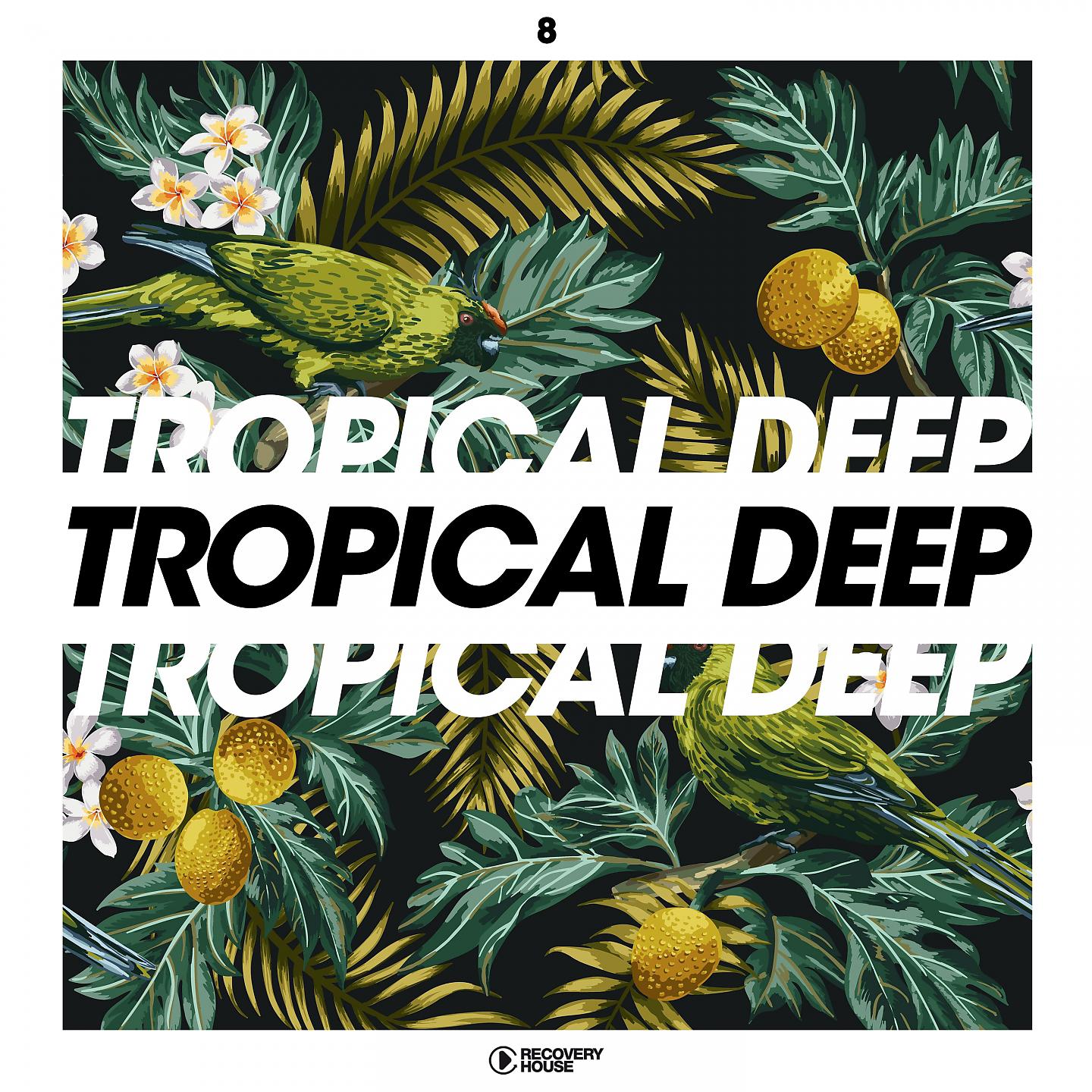 Постер альбома Tropical Deep, Vol. 8