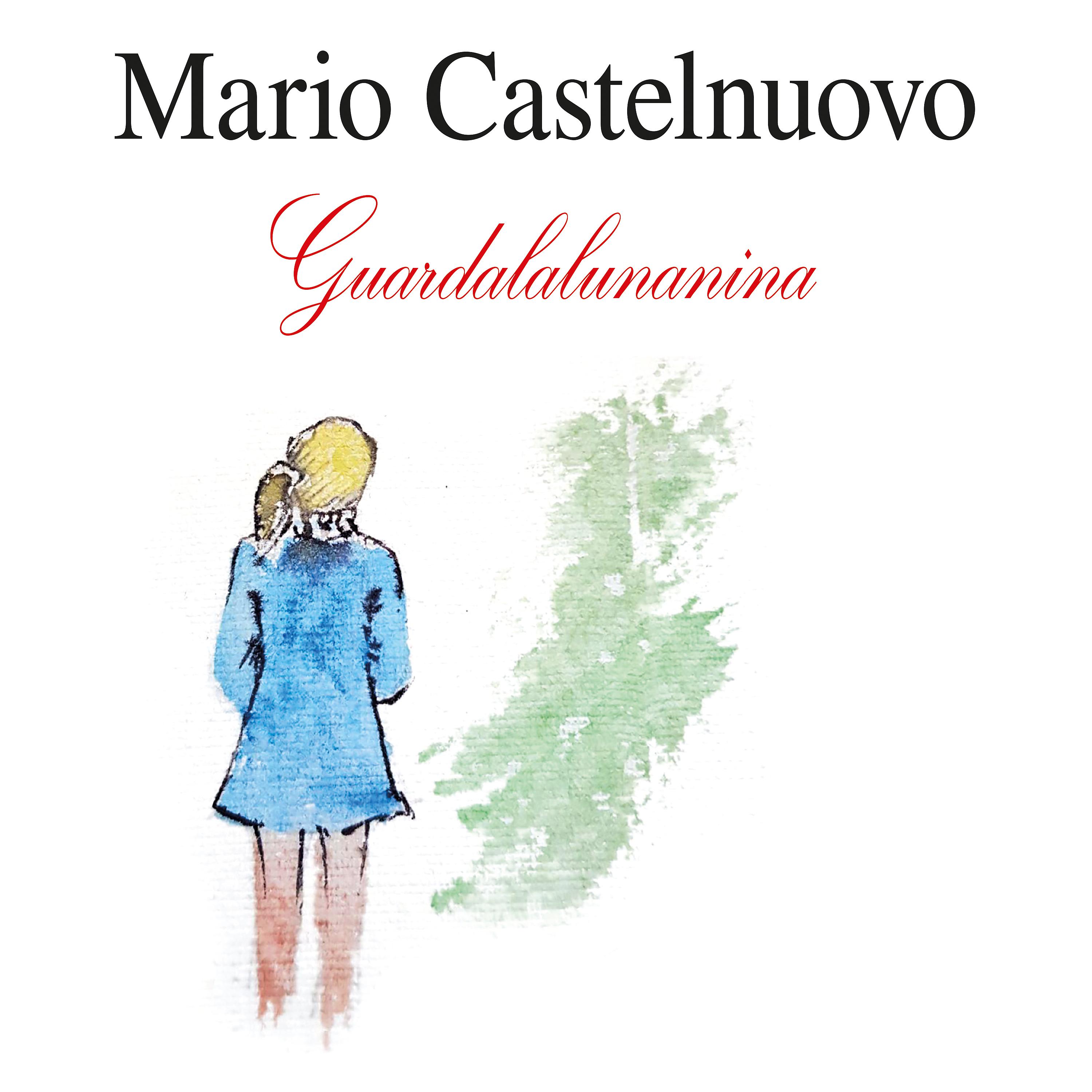 Постер альбома Guardalalunanina