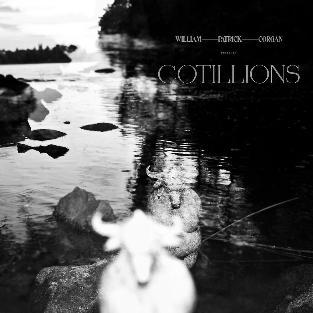 Постер альбома Cotillions