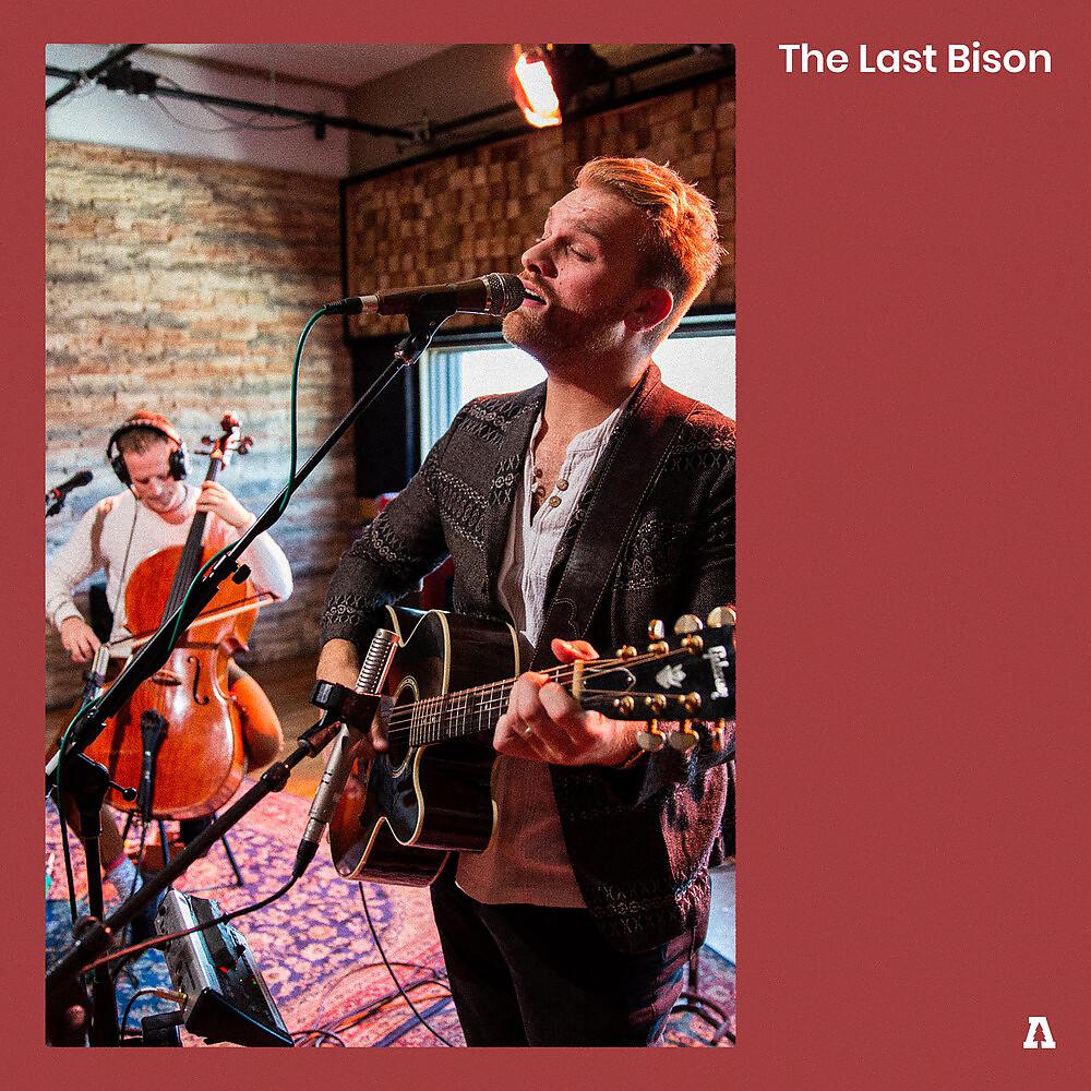 Постер альбома The Last Bison on Audiotree Live