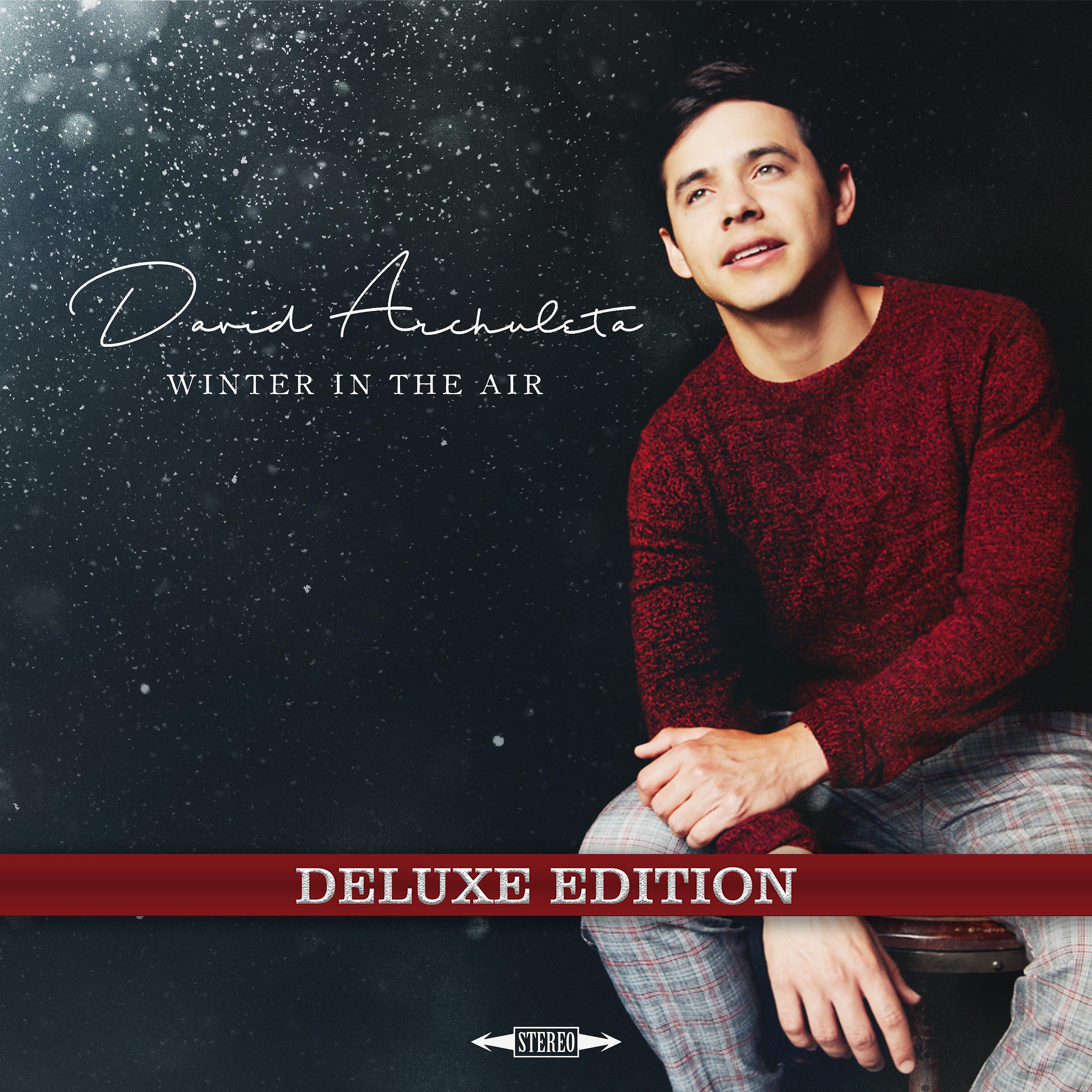 Постер альбома Winter in the Air (Deluxe)