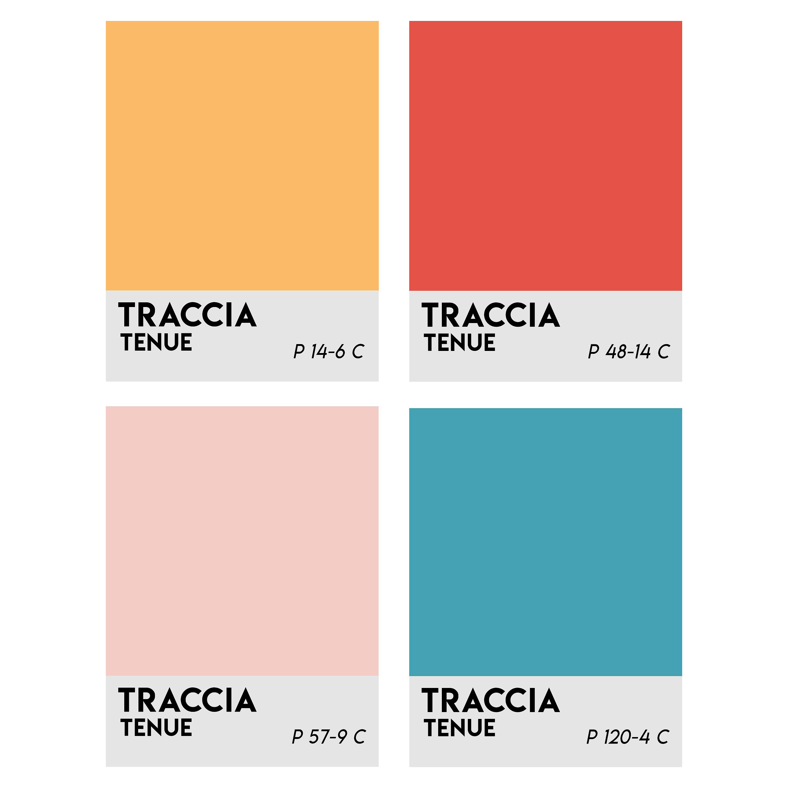 Постер альбома Traccia