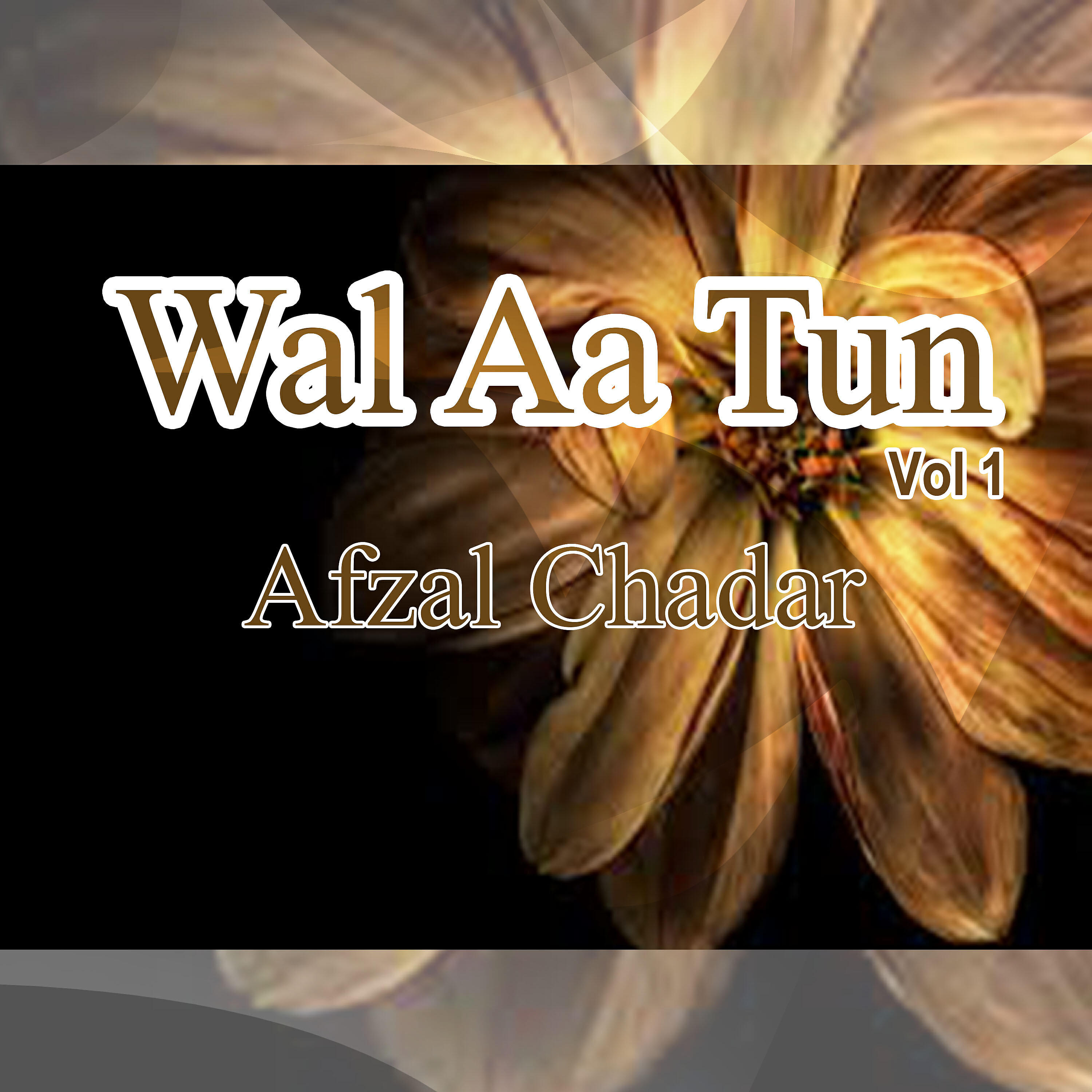 Afzal Chadar - Dhol Maheya