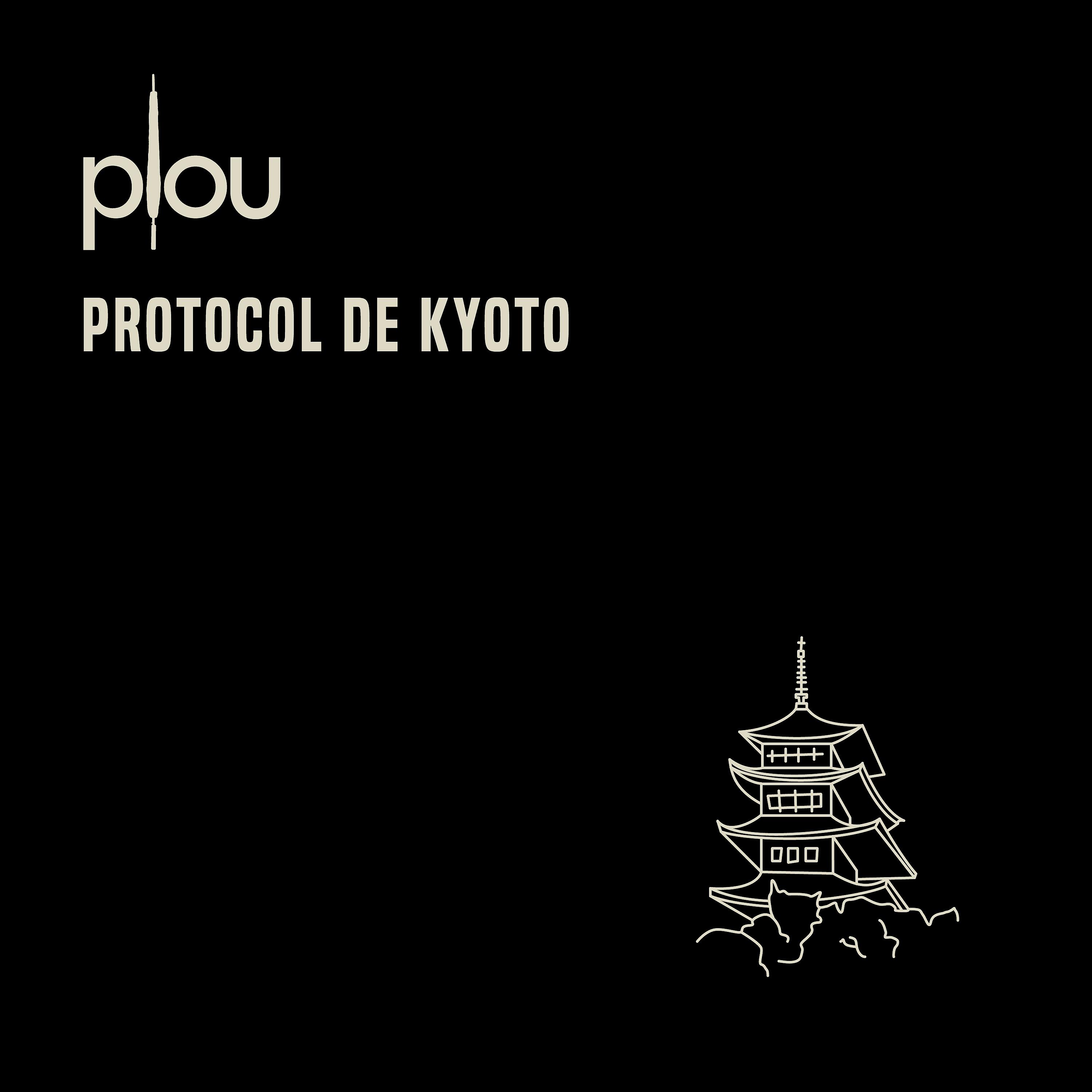 Постер альбома Protocol de Kyoto