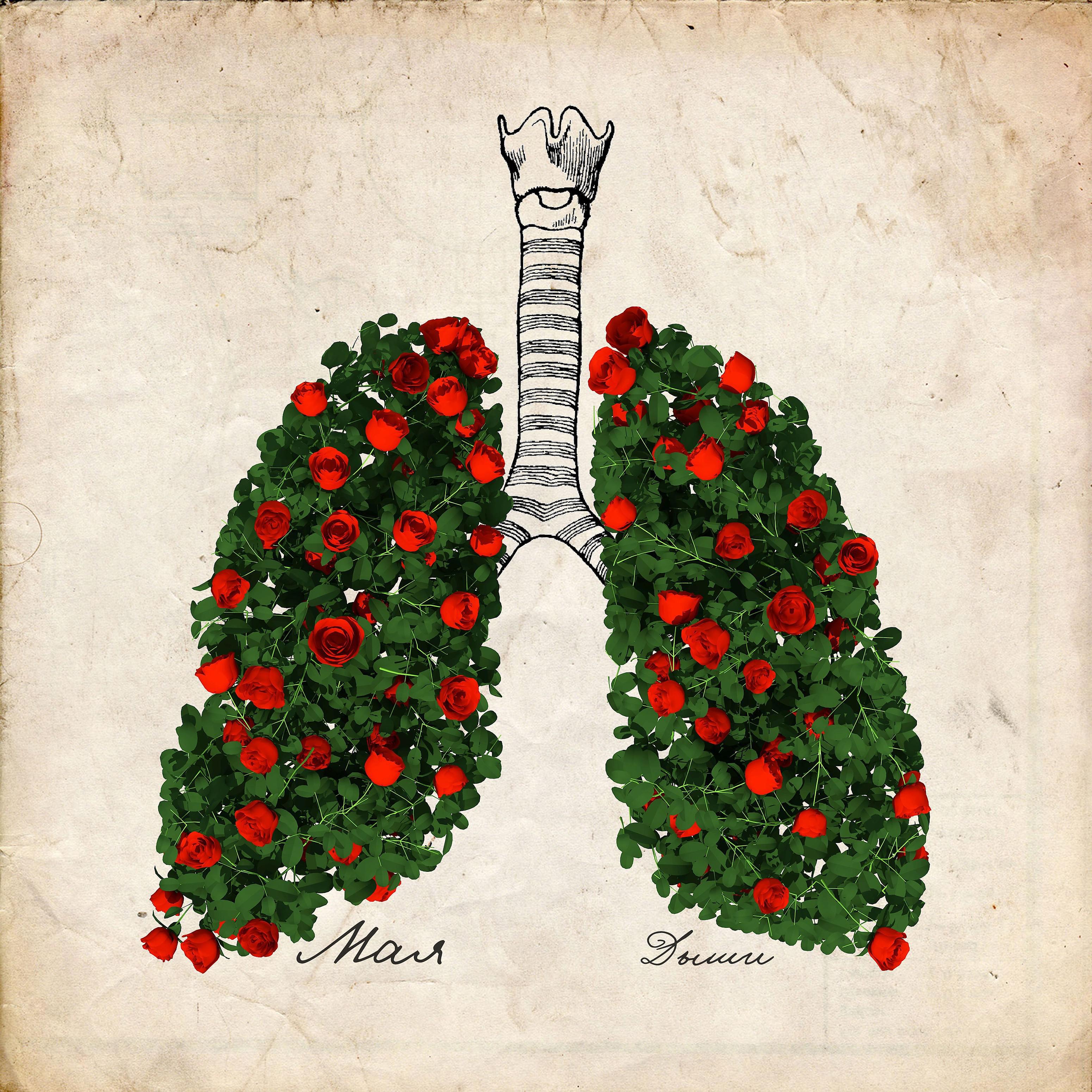 Постер альбома Дыши