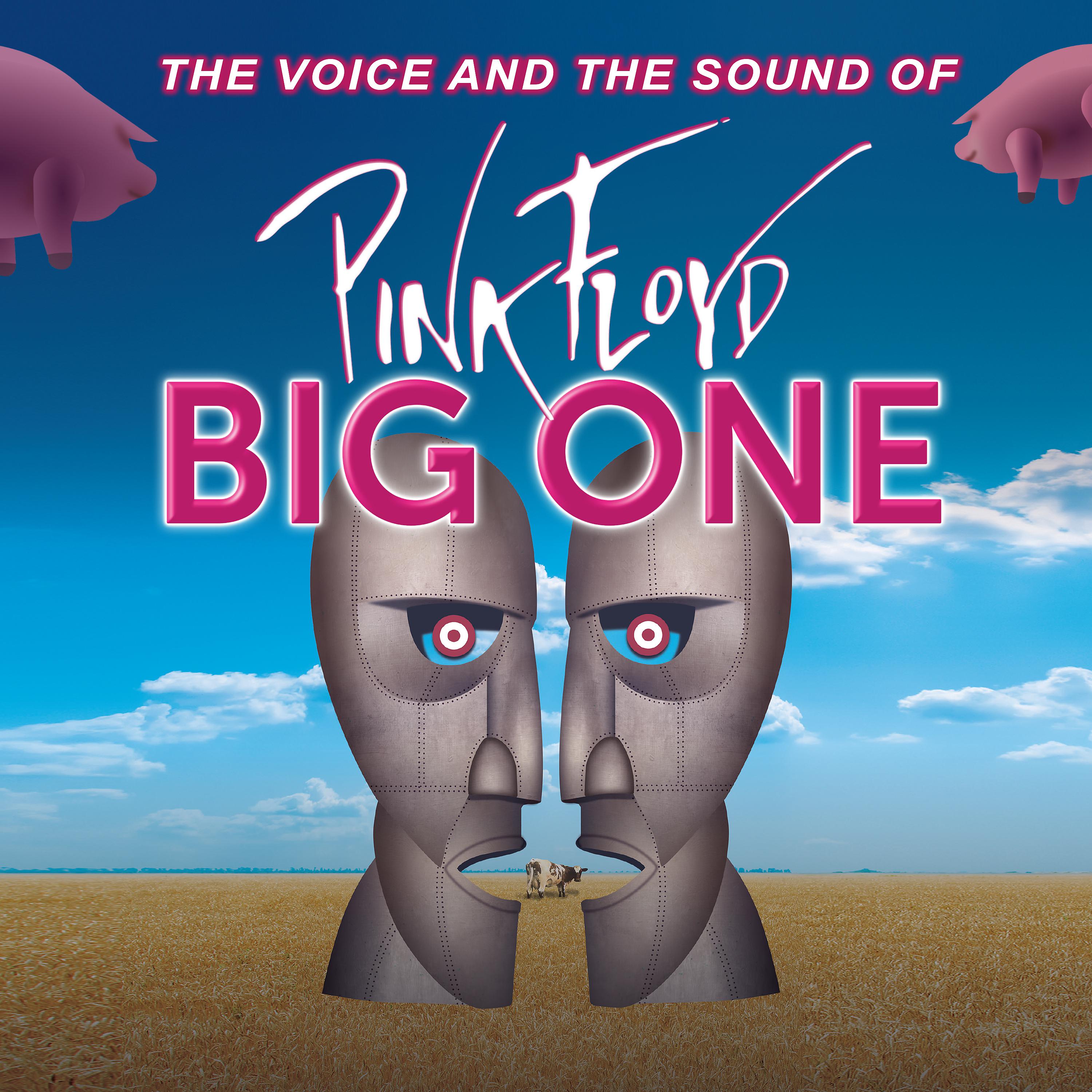 Постер альбома The Voice and the Sound of Pink Floyd
