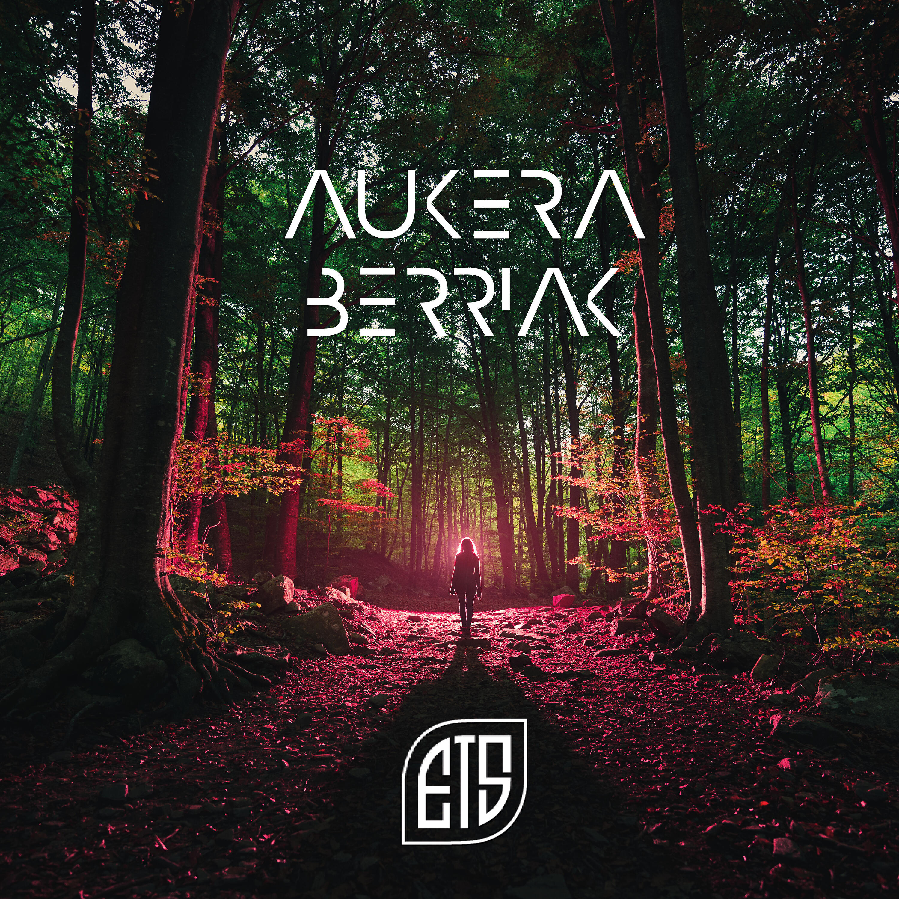En Tol Sarmiento - Aukera Berriak