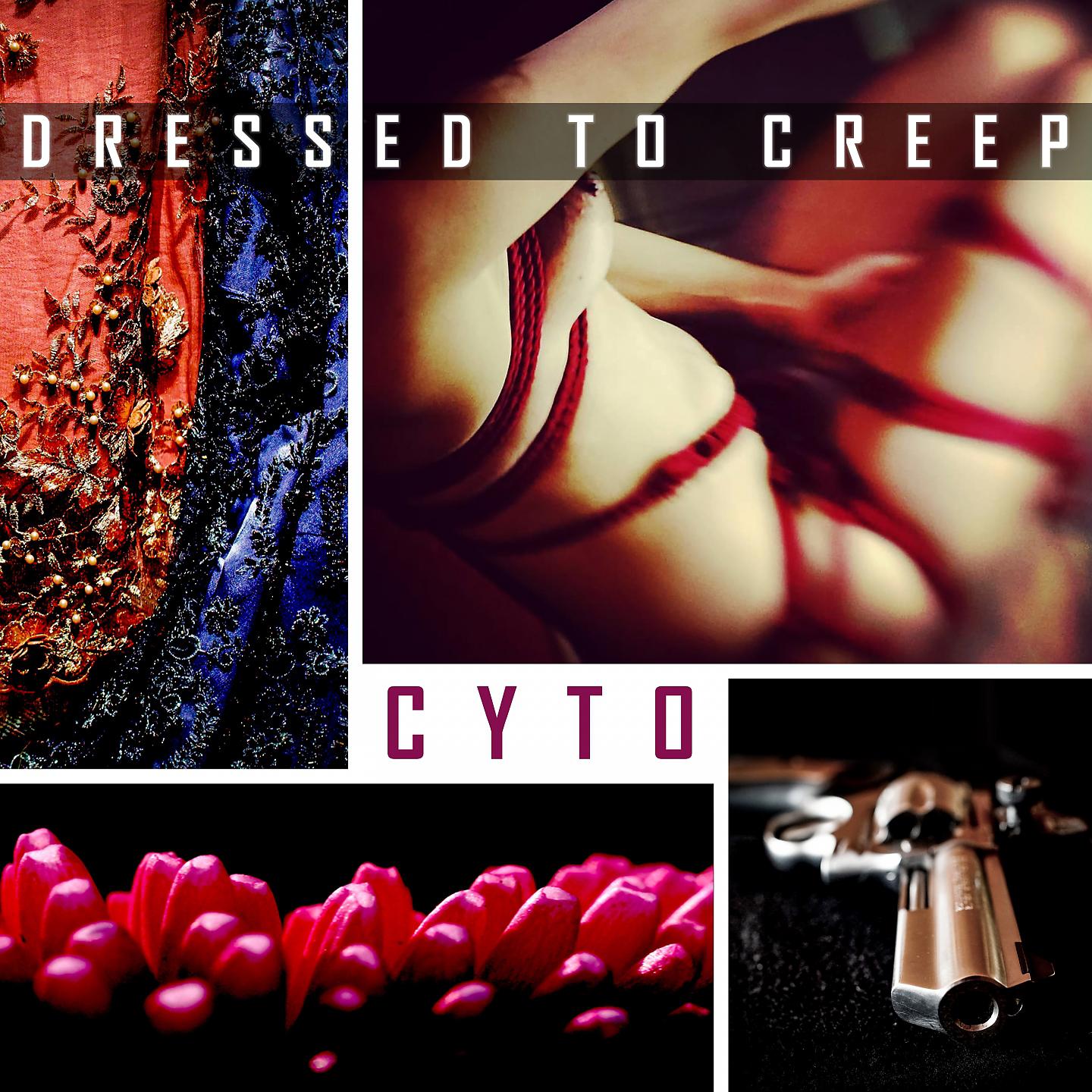 Постер альбома Dressed to Creep