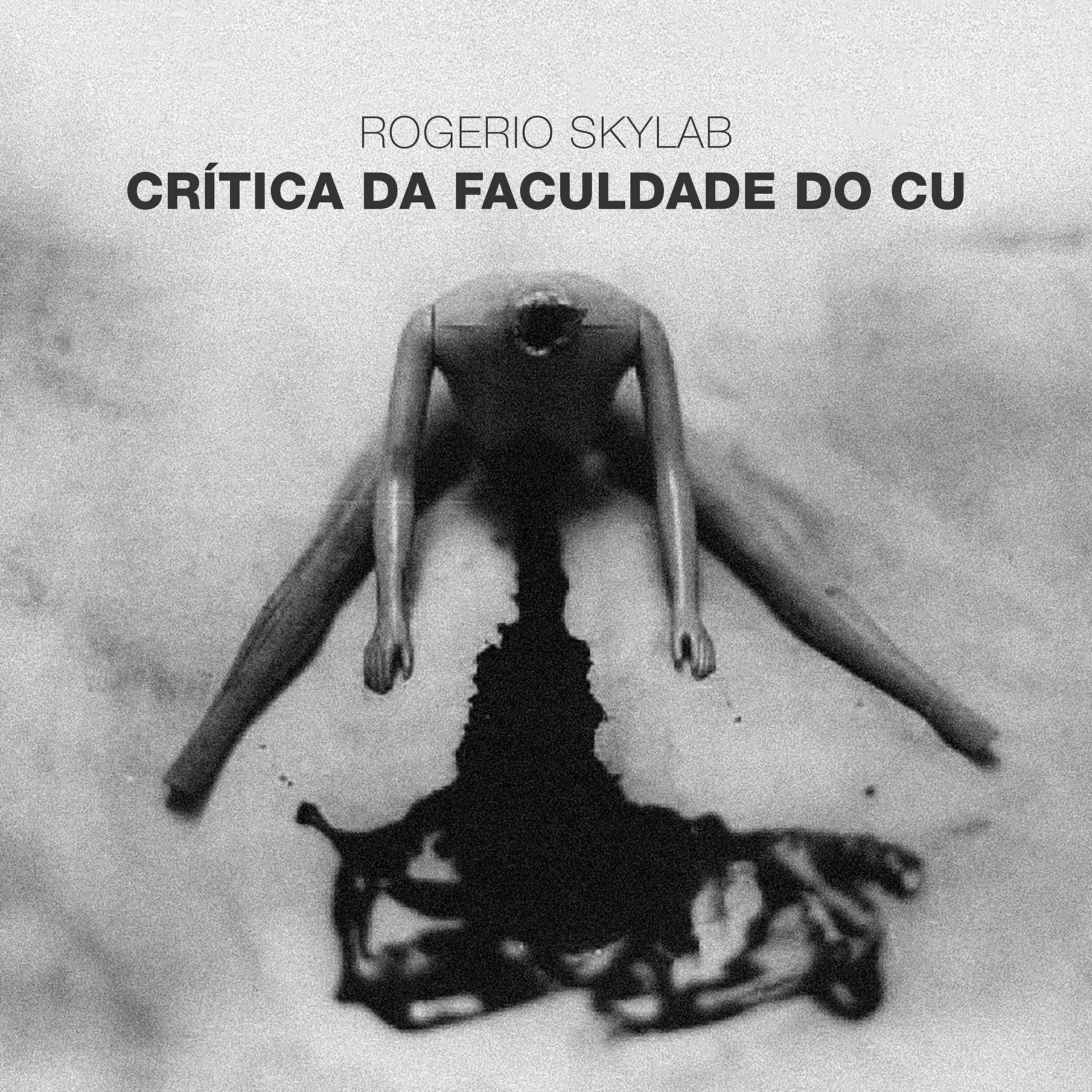 Rogério Skylab - Crítica da Faculdade do Cu