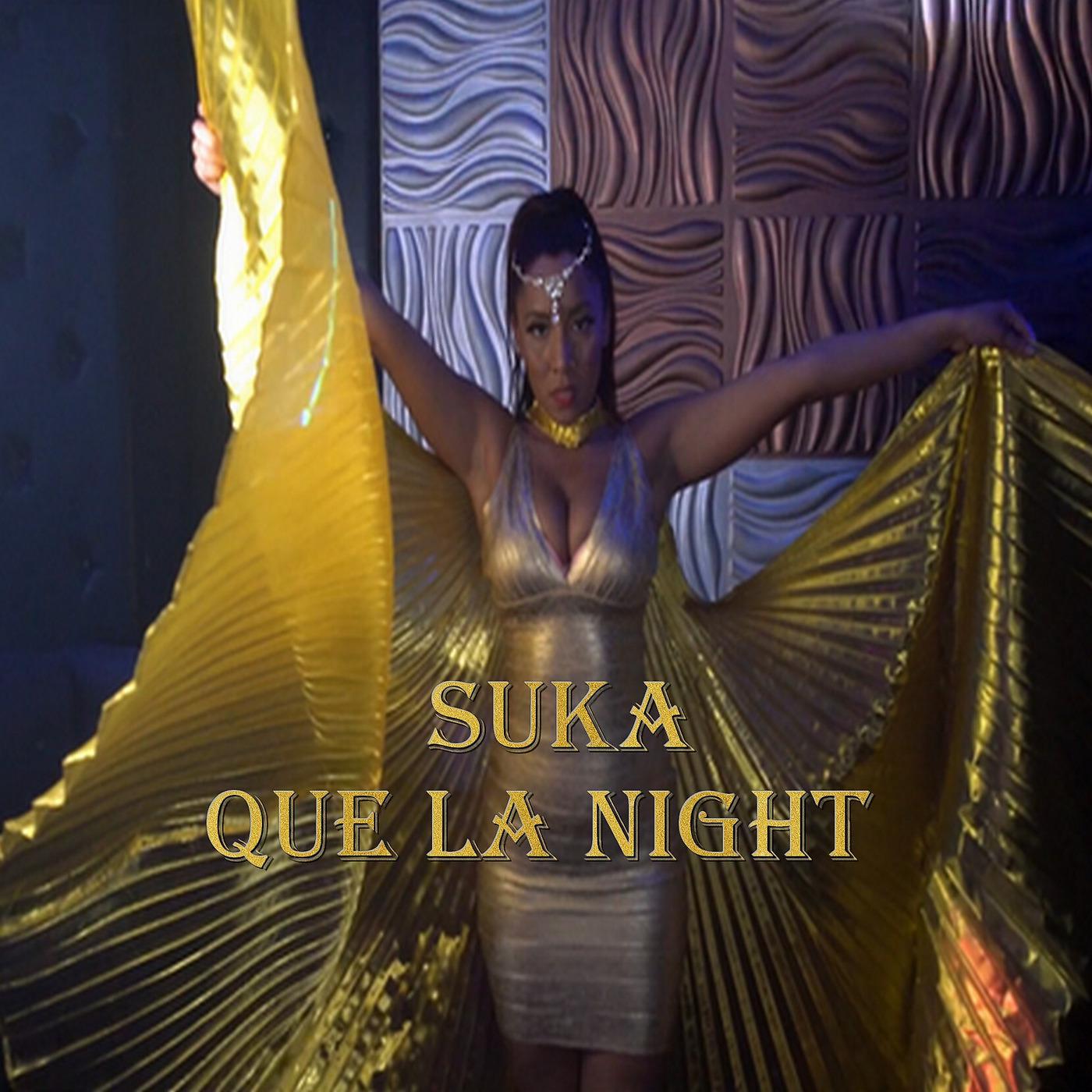 Постер альбома Que la night
