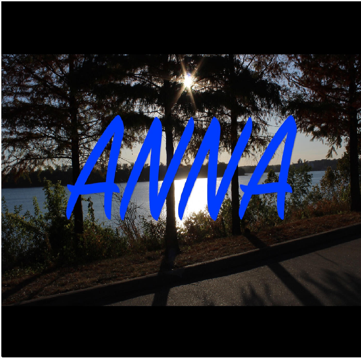 Jaron Lee Roe - Anna