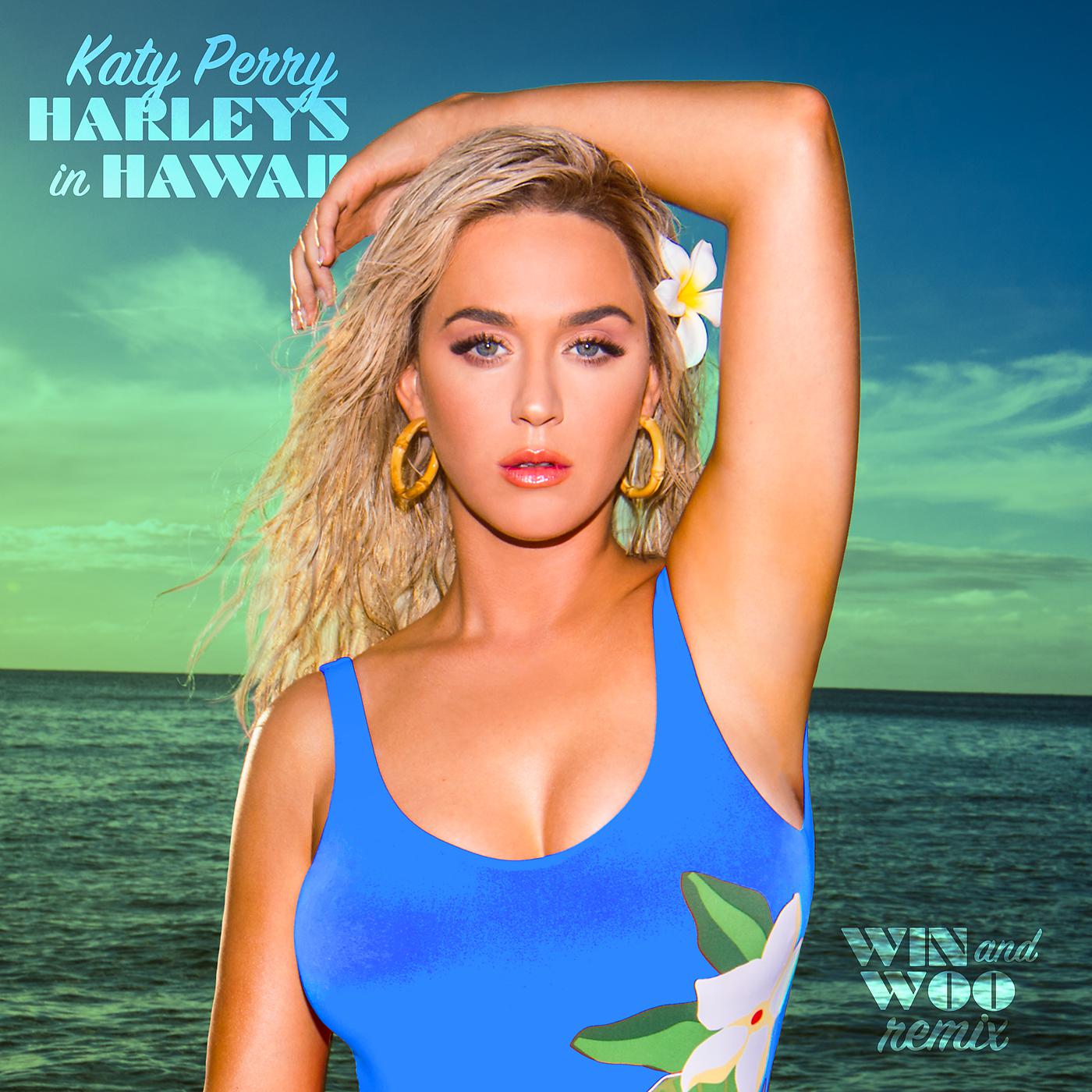 Постер альбома Harleys In Hawaii
