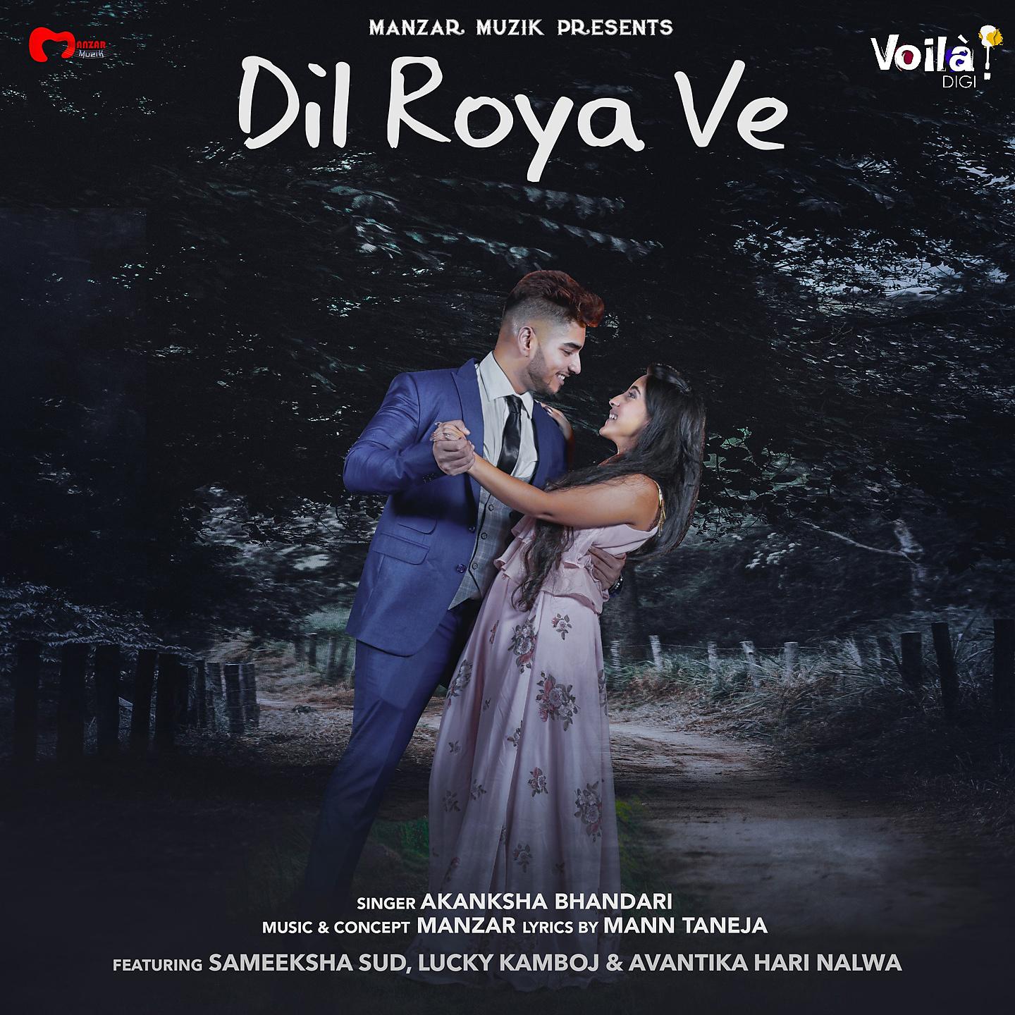 Постер альбома Dil Roya Ve