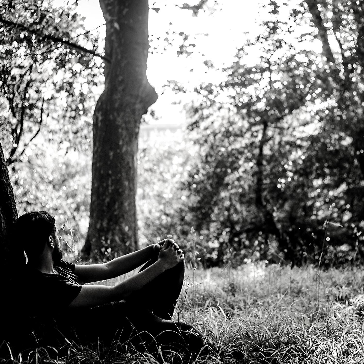 Alone in the Park - Living in a Tree