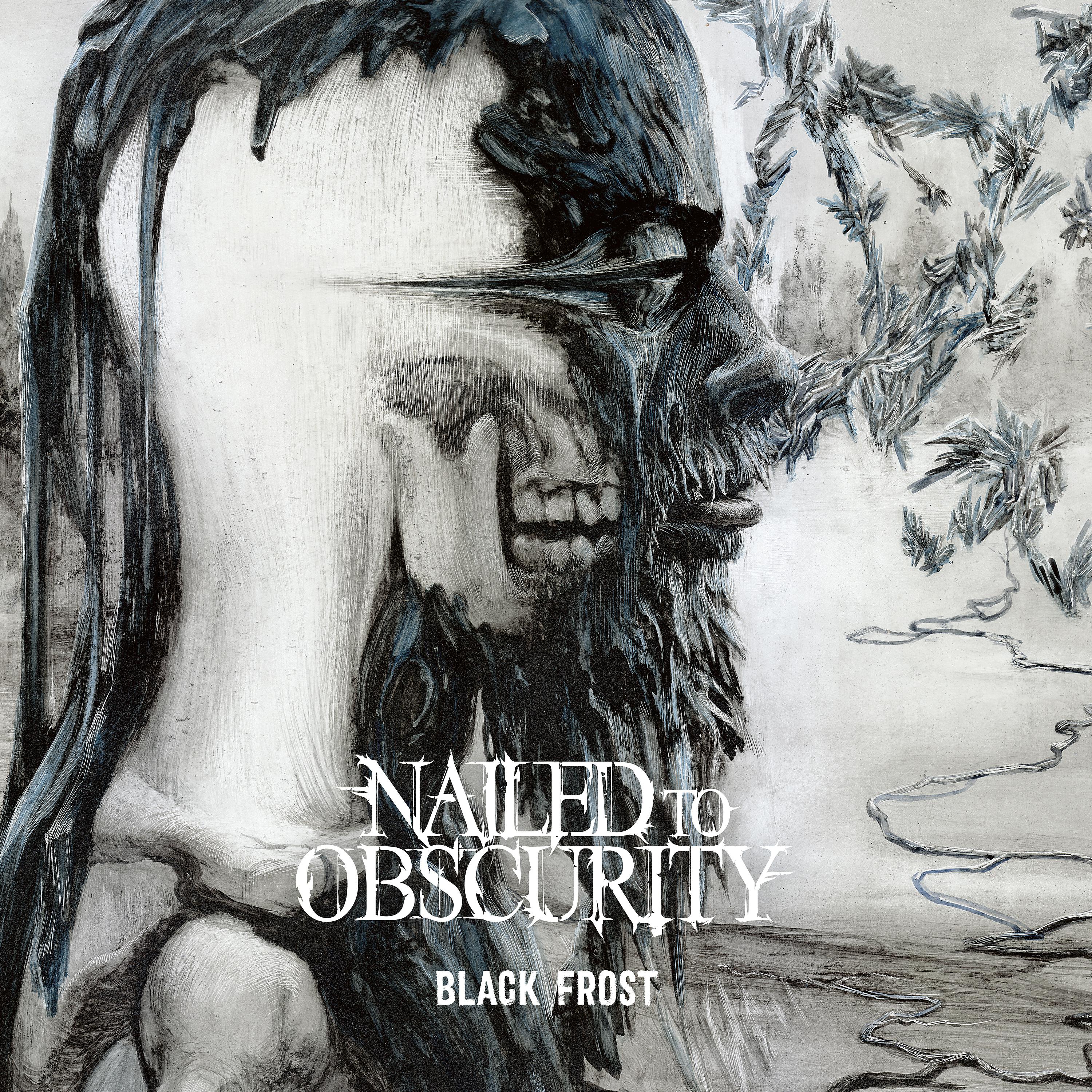 Постер альбома Black Frost