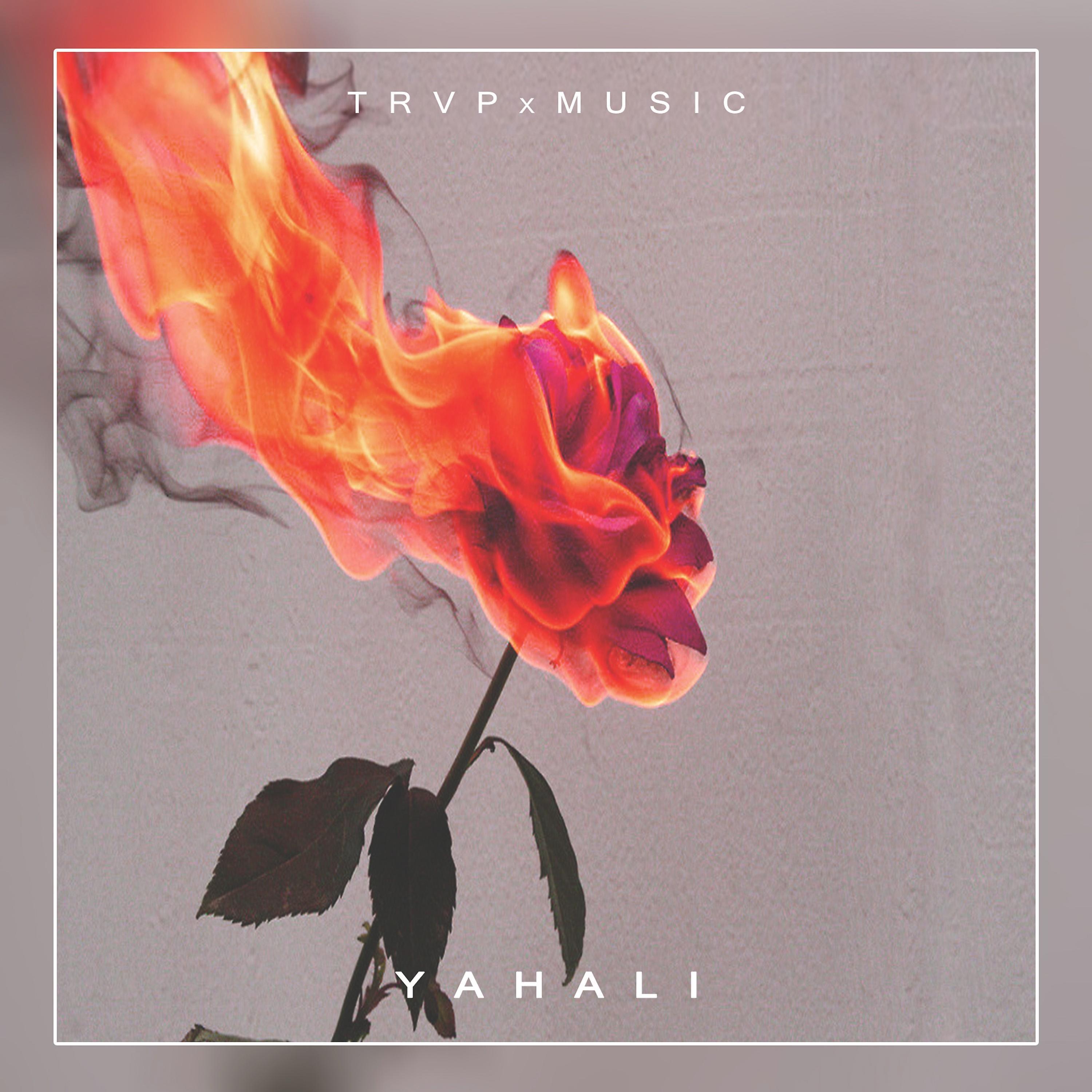 Постер альбома Yahali