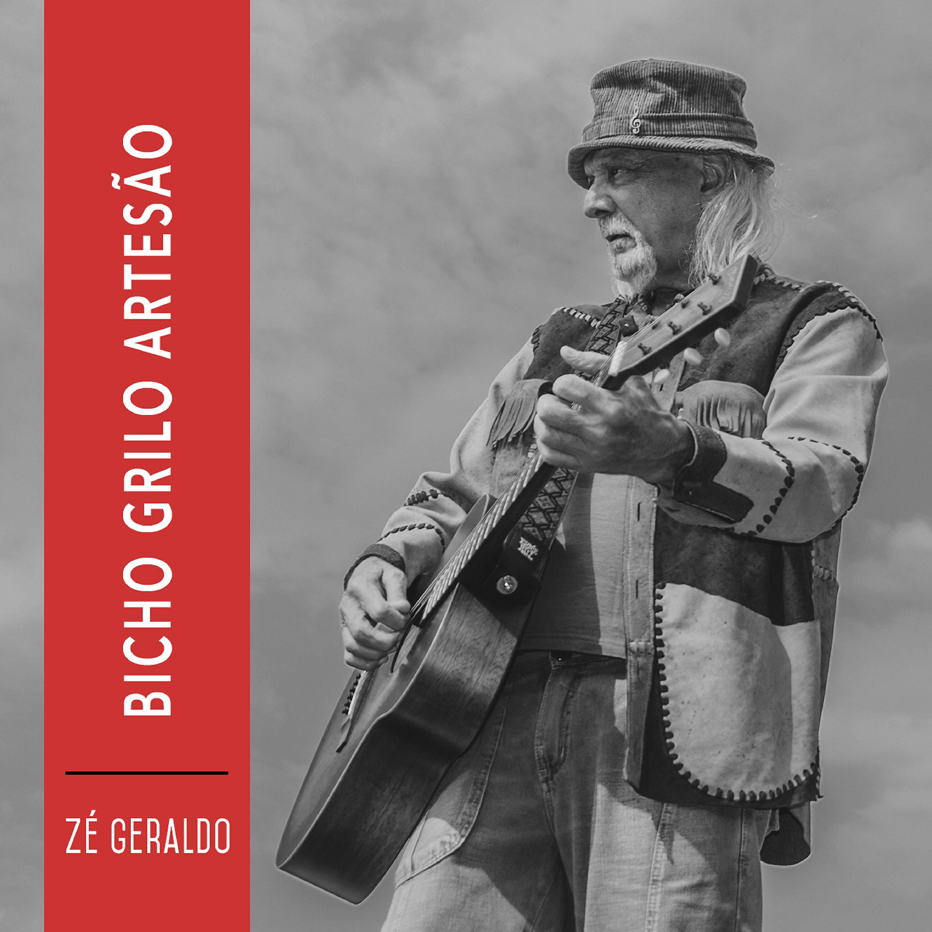 Zé Geraldo - Bicho Grilo Artesão