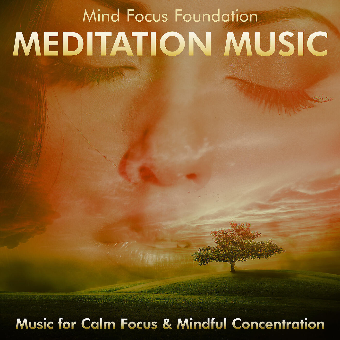 Mind Focus Foundation - Blue Mist