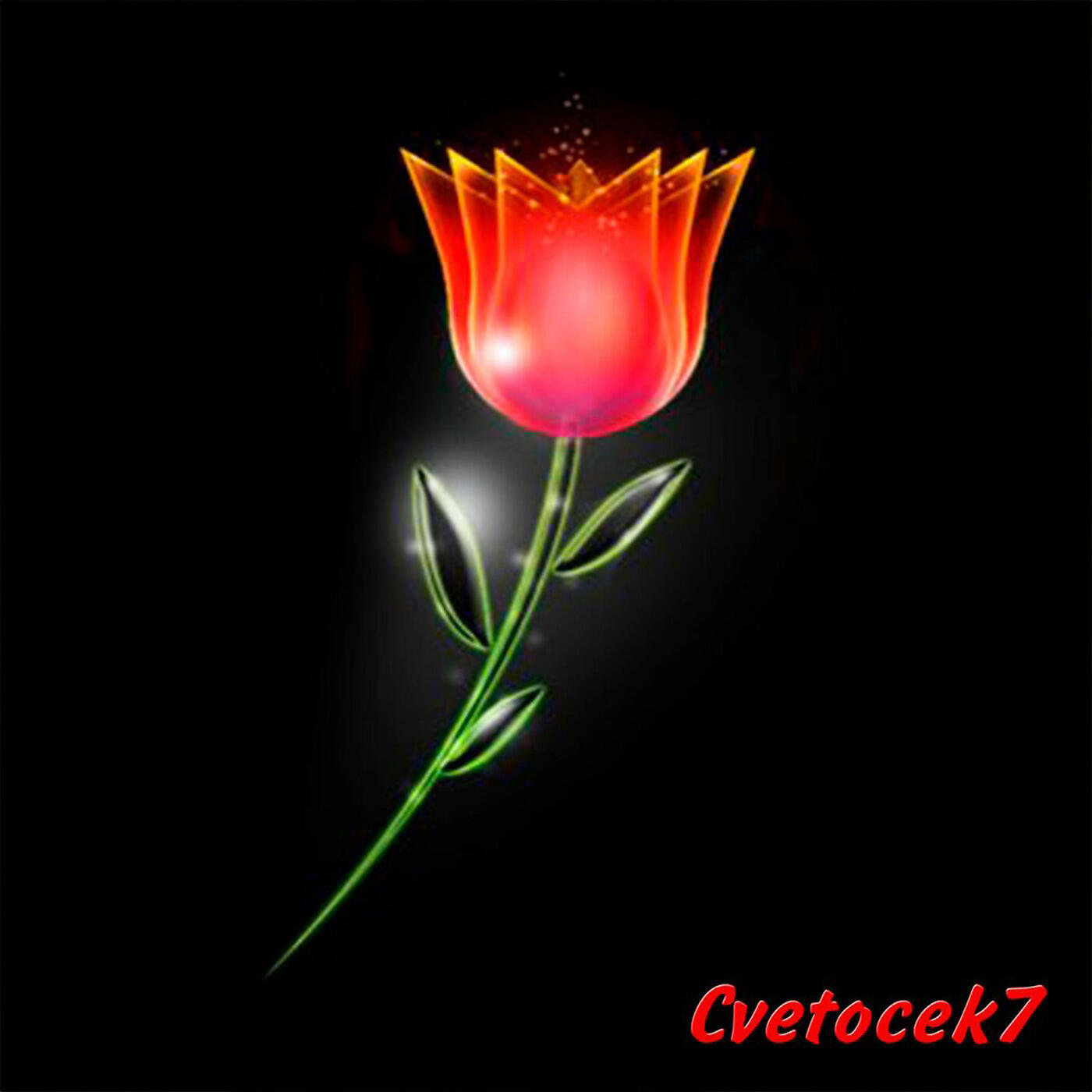 CVETOCEK7 - Нету места для тебя