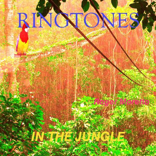 Minecraft - Jungle Dream Ringtone