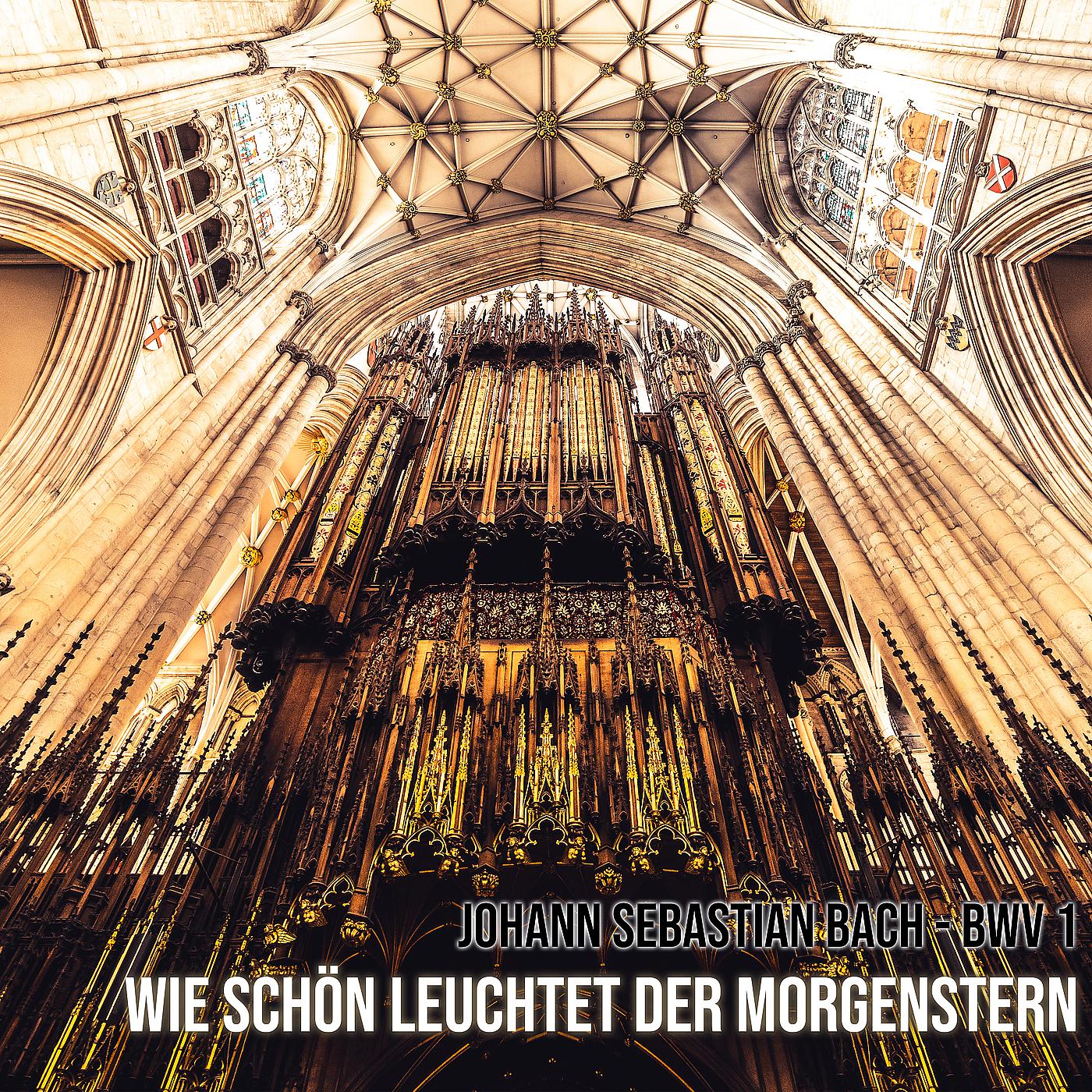 Постер альбома Wie Schön Leuchtet Der Morgenstern (Bwv 1)