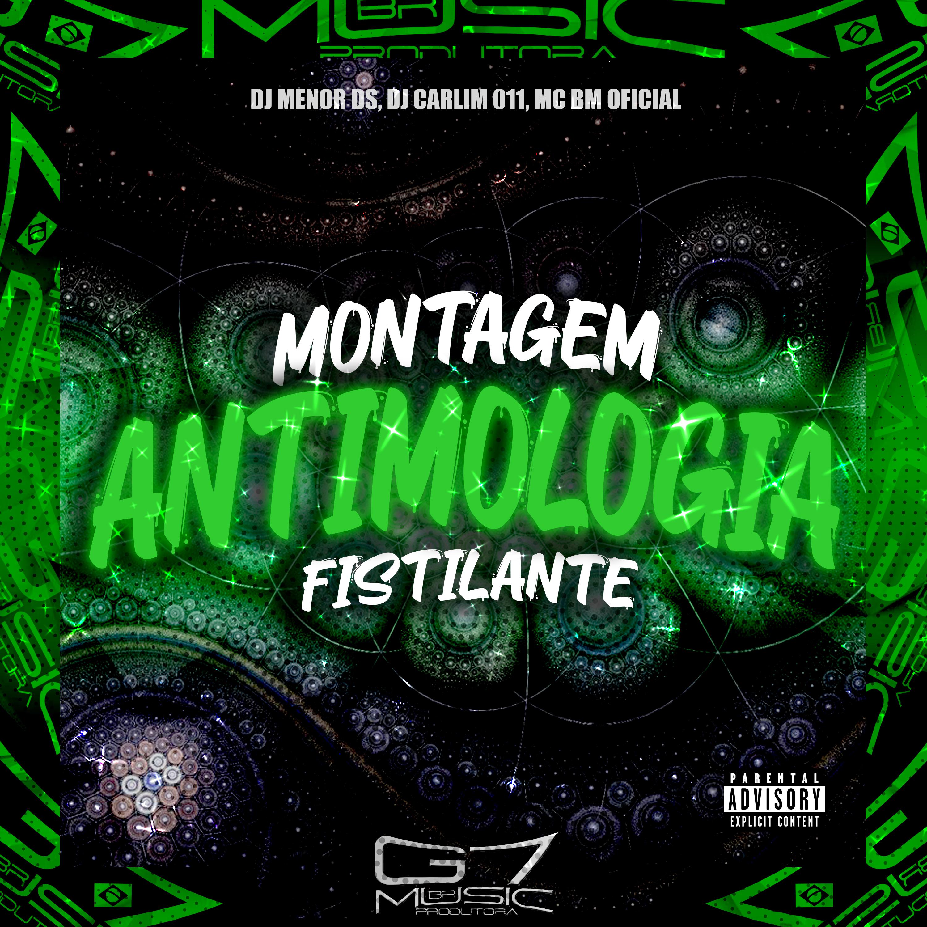 Постер альбома Montagem Antimologia Fistilante