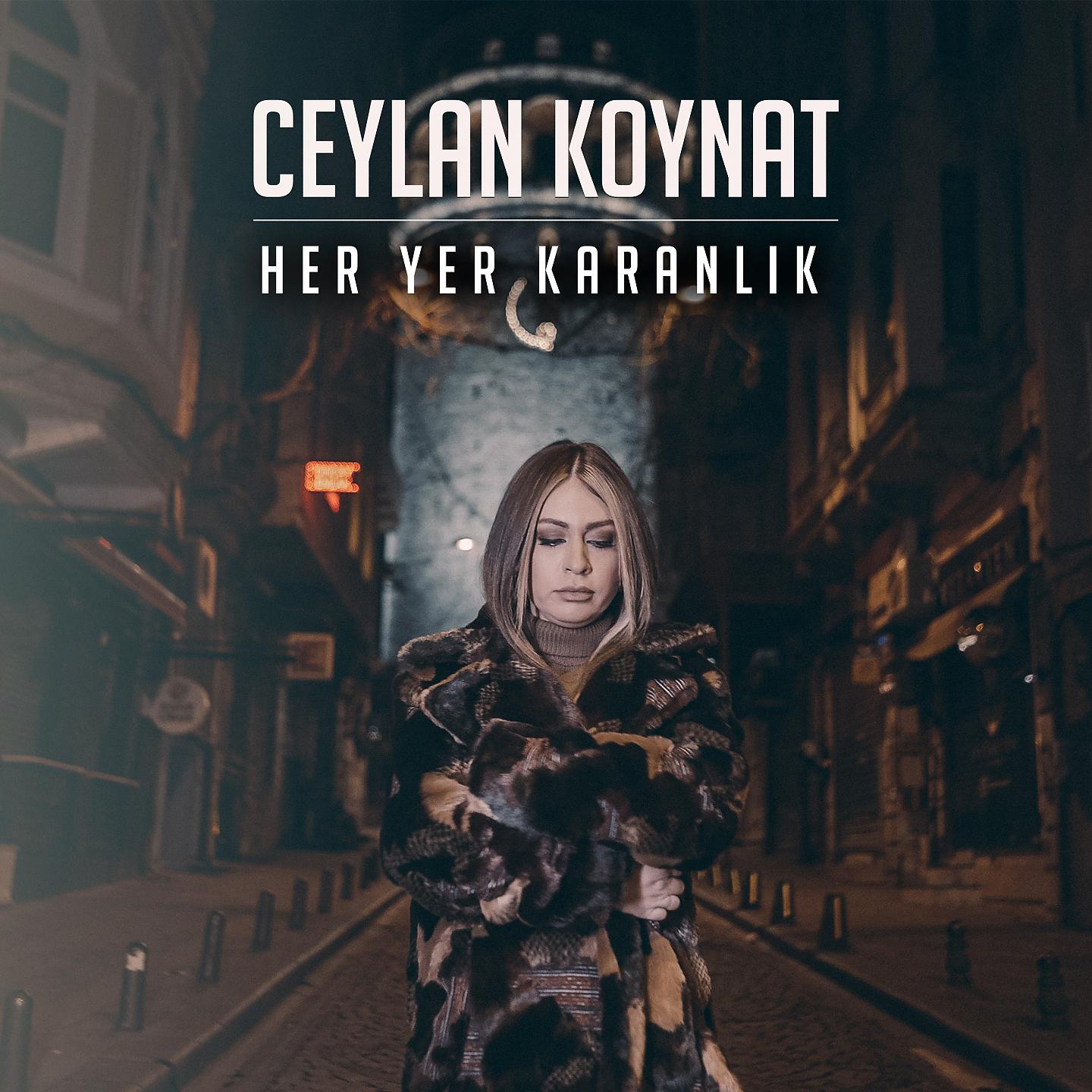 Постер альбома Her Yer Karanlık